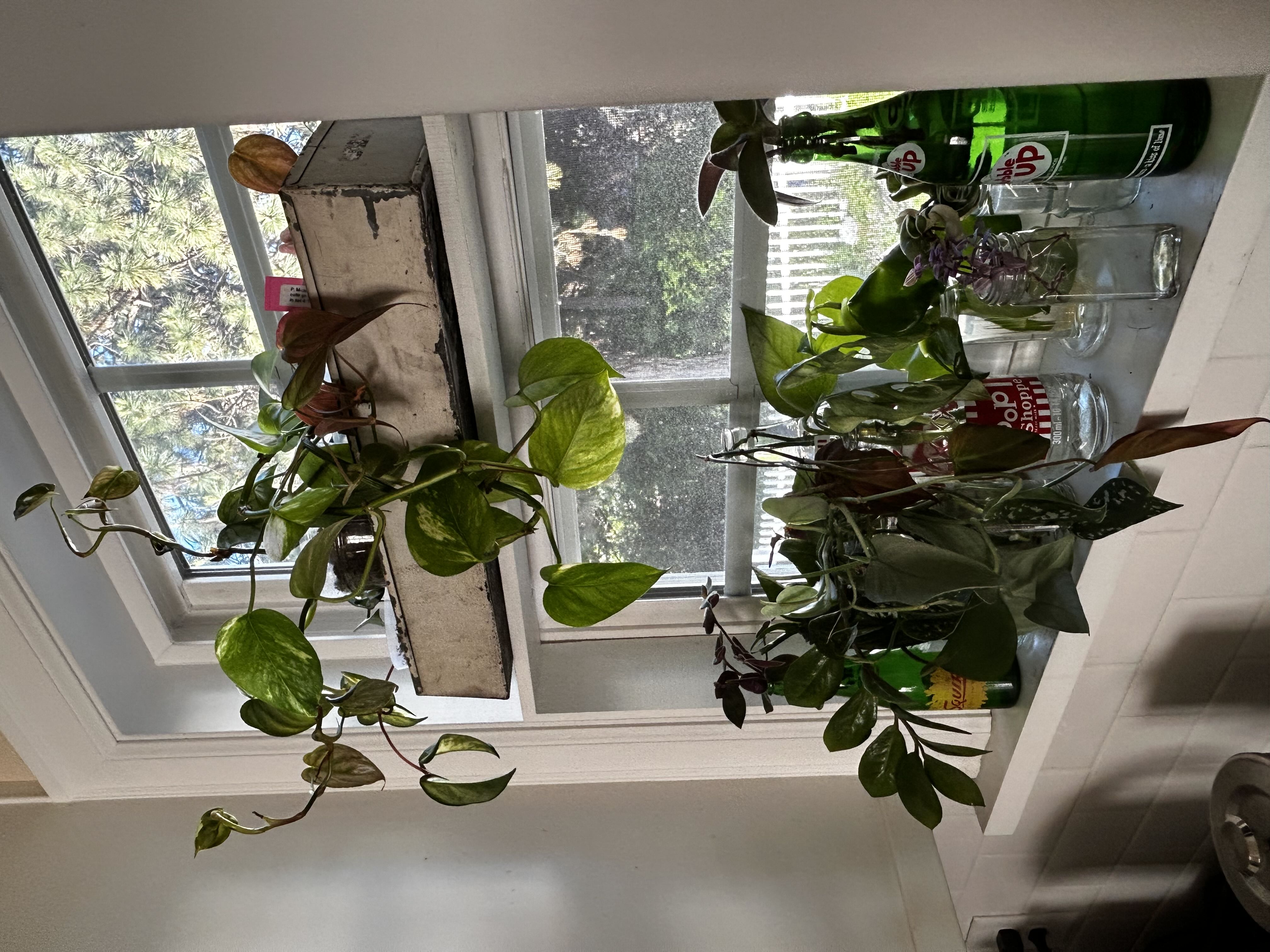 Photo from the post