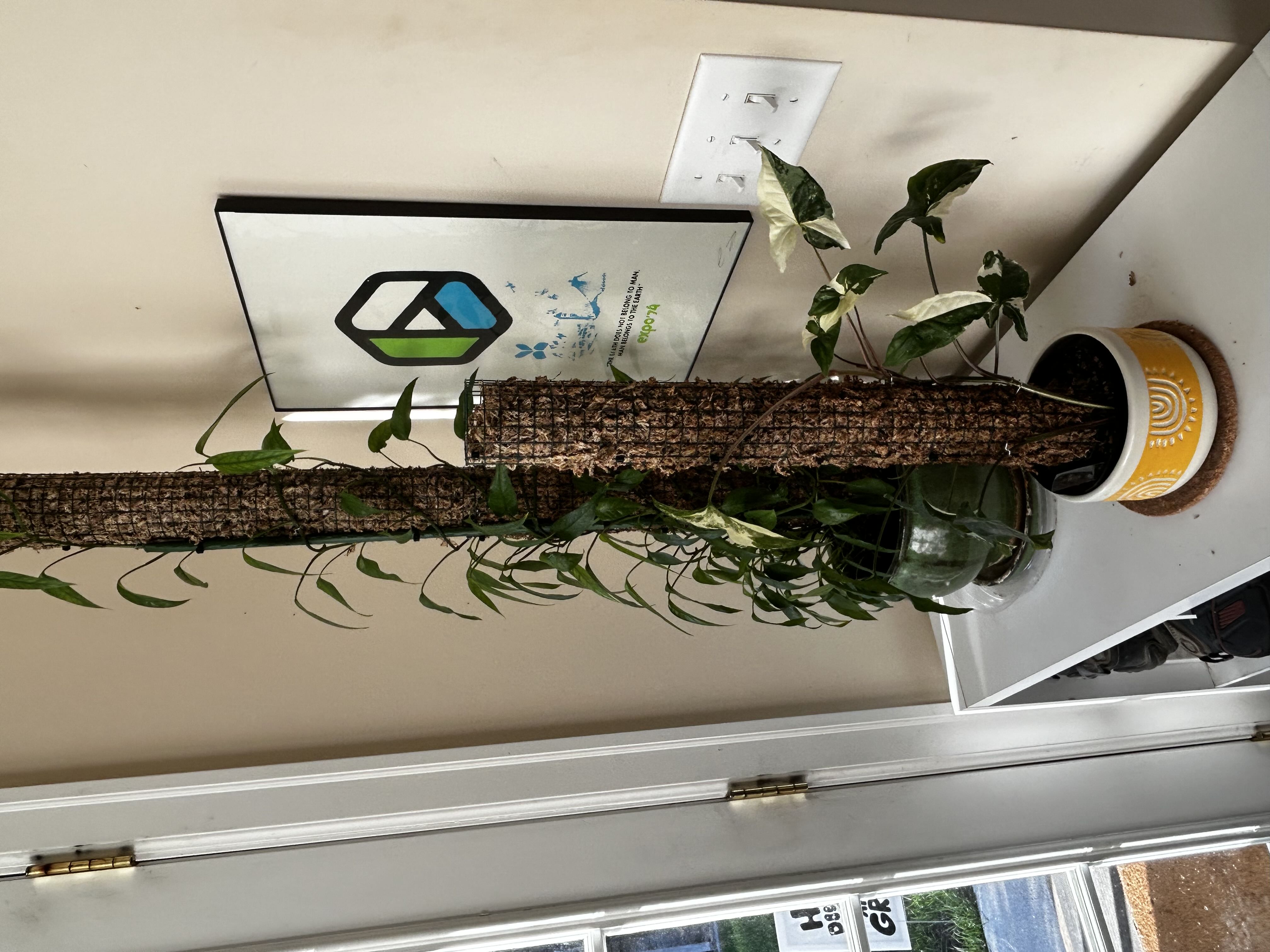 Photo from the post