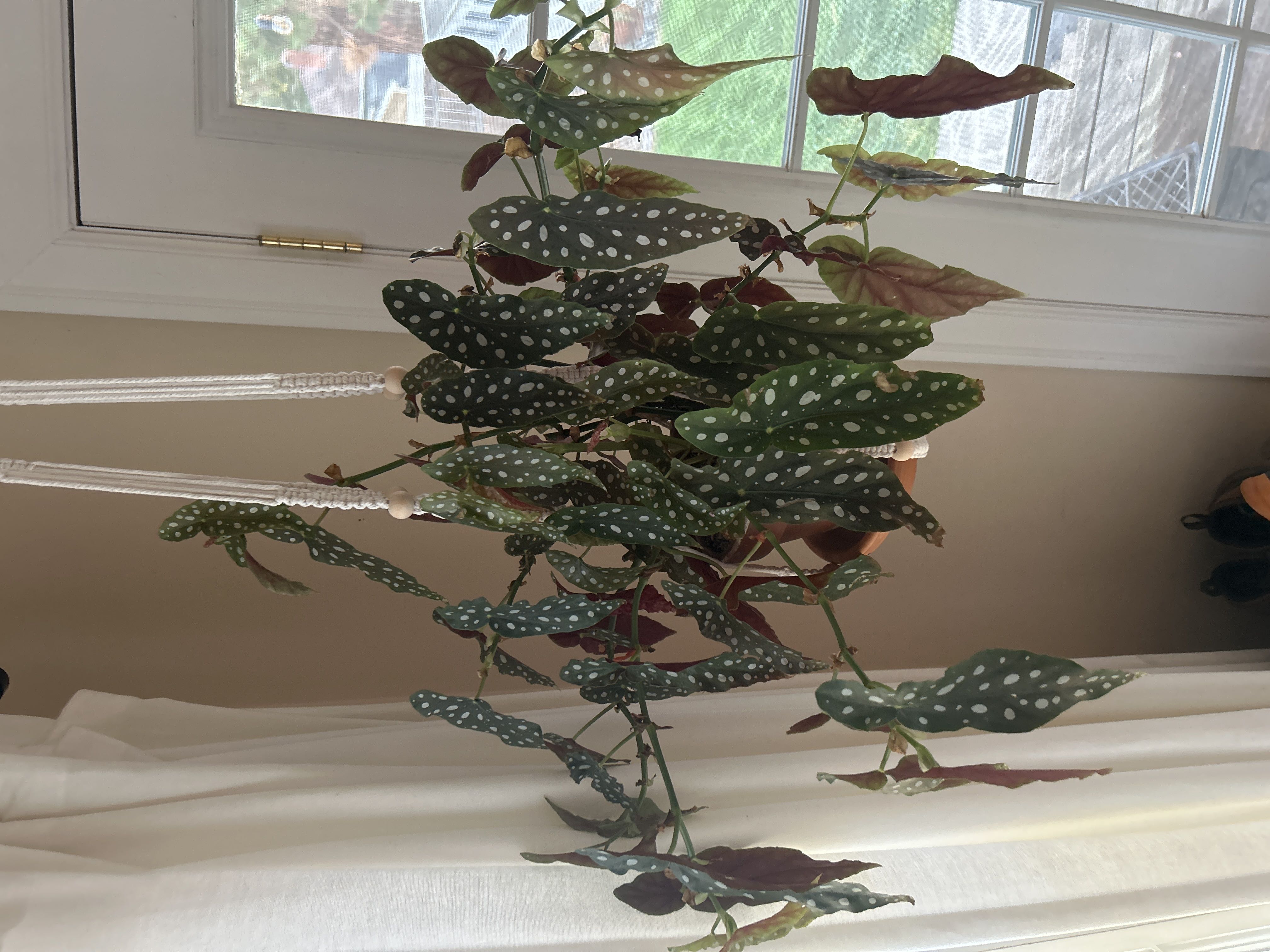 Photo from the post