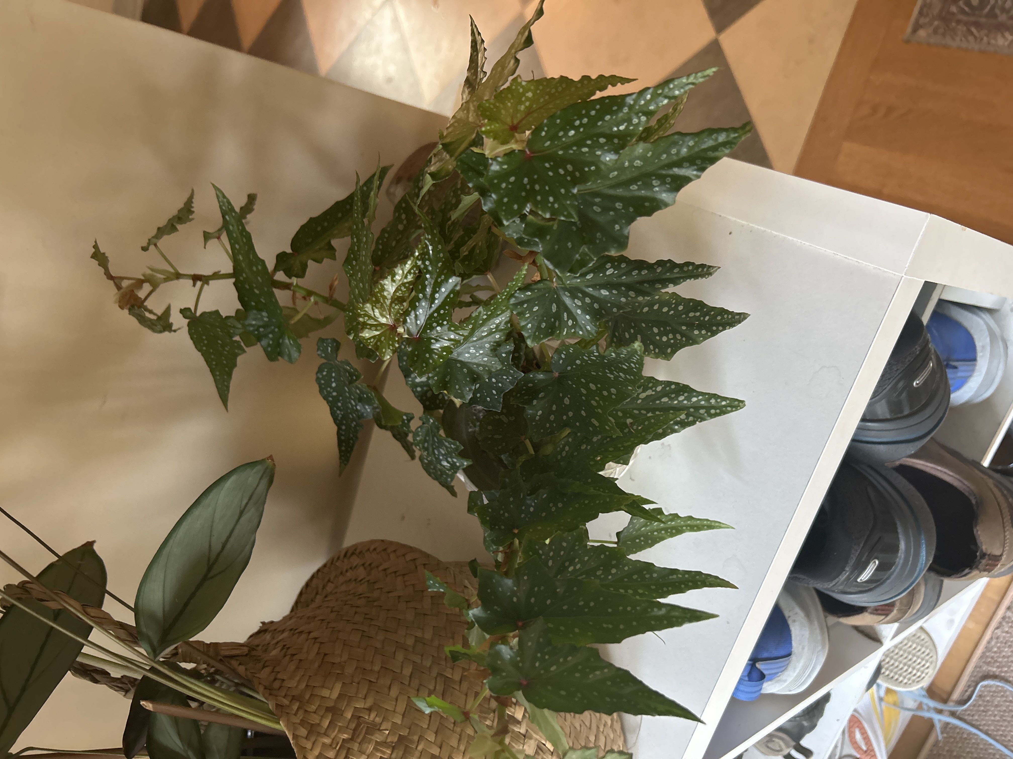 Photo from the post