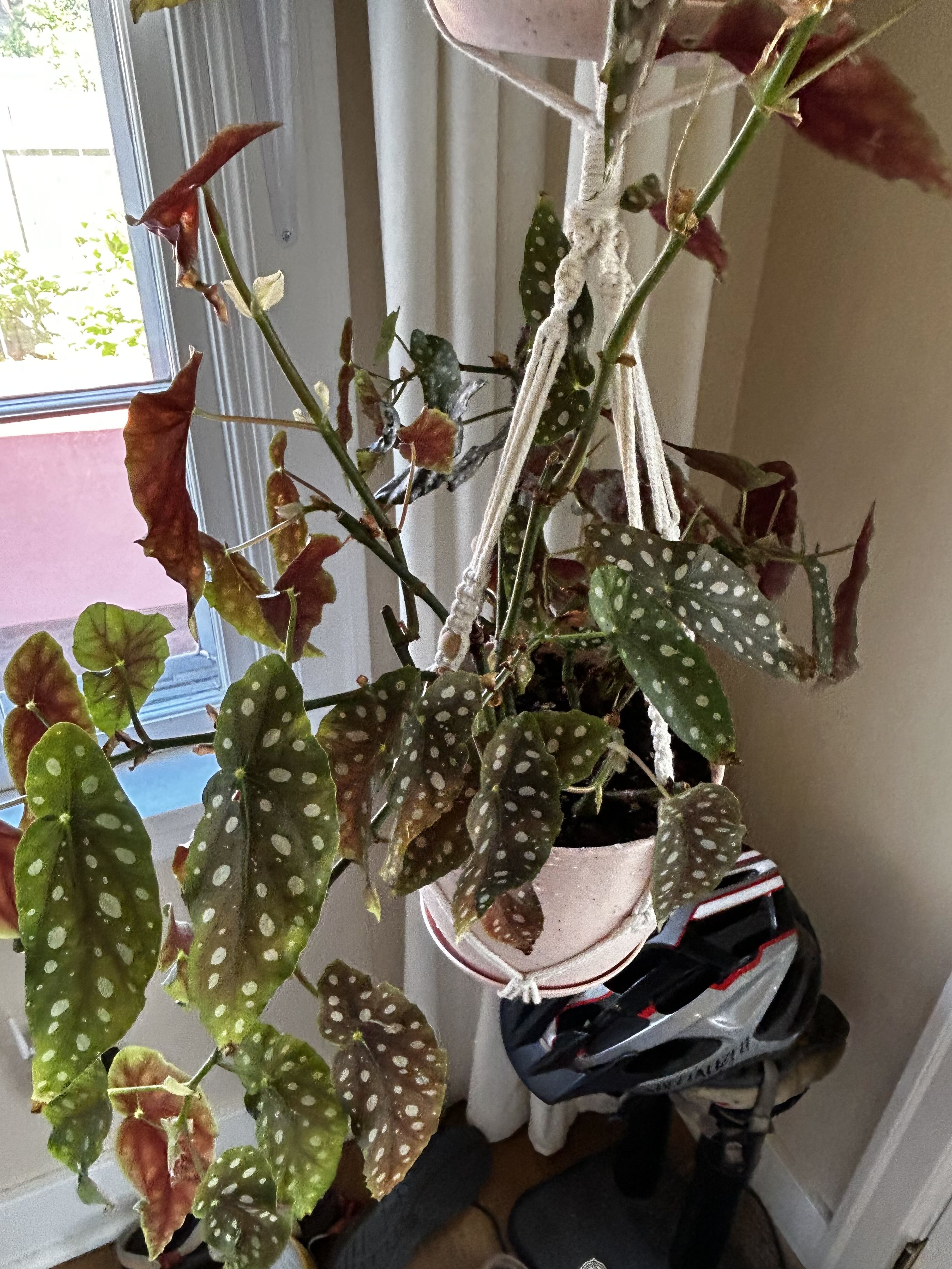 Photo from the post