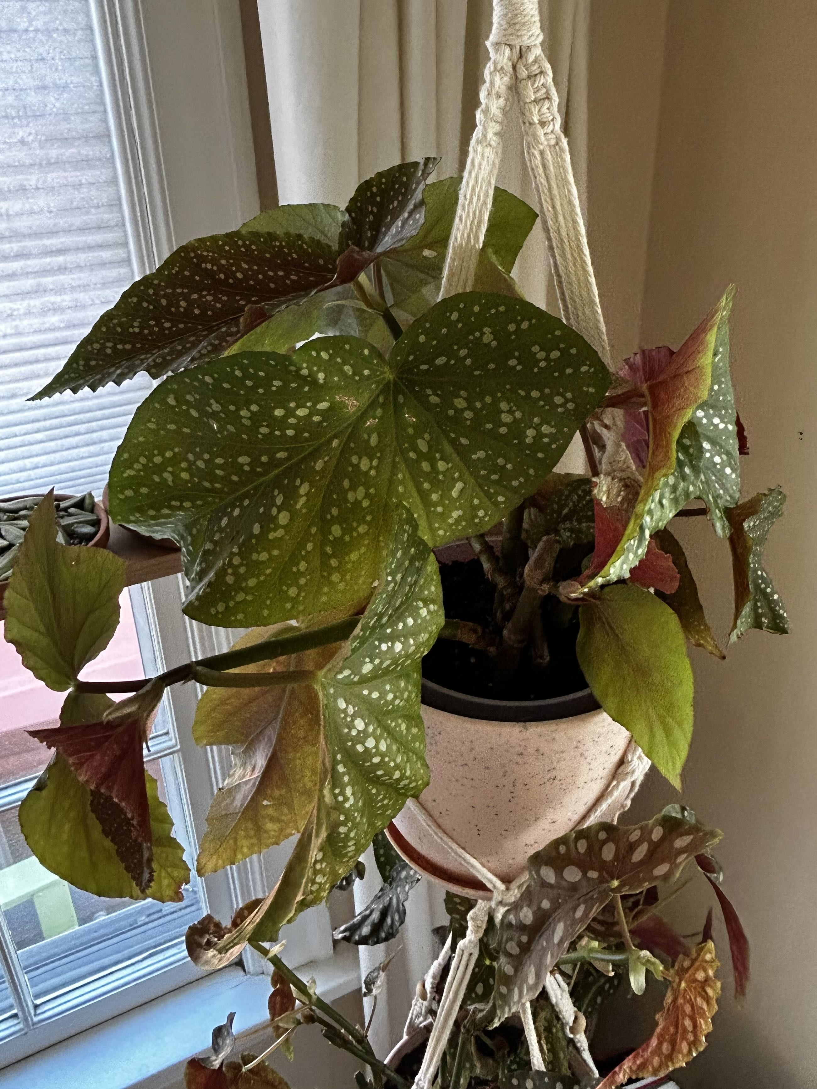 Photo from the post