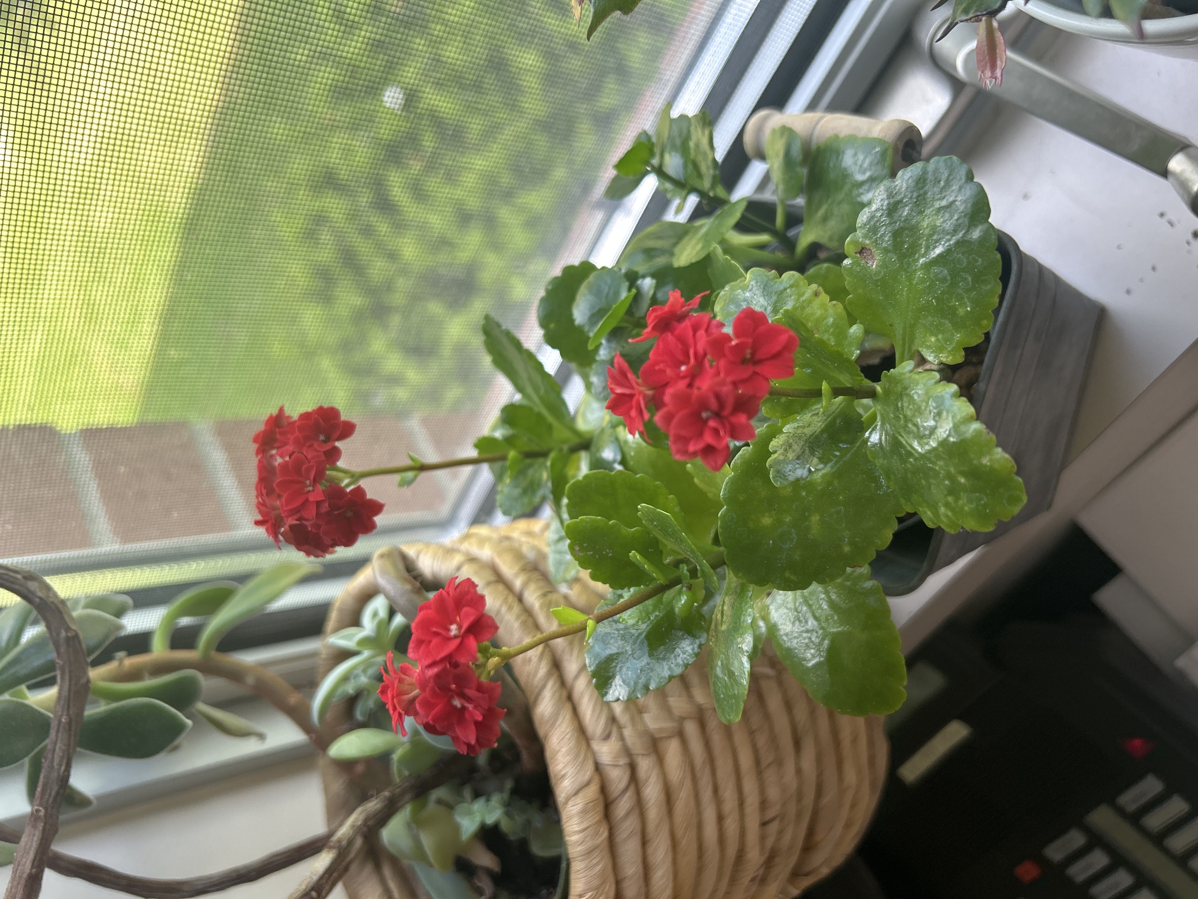 Photo from the post