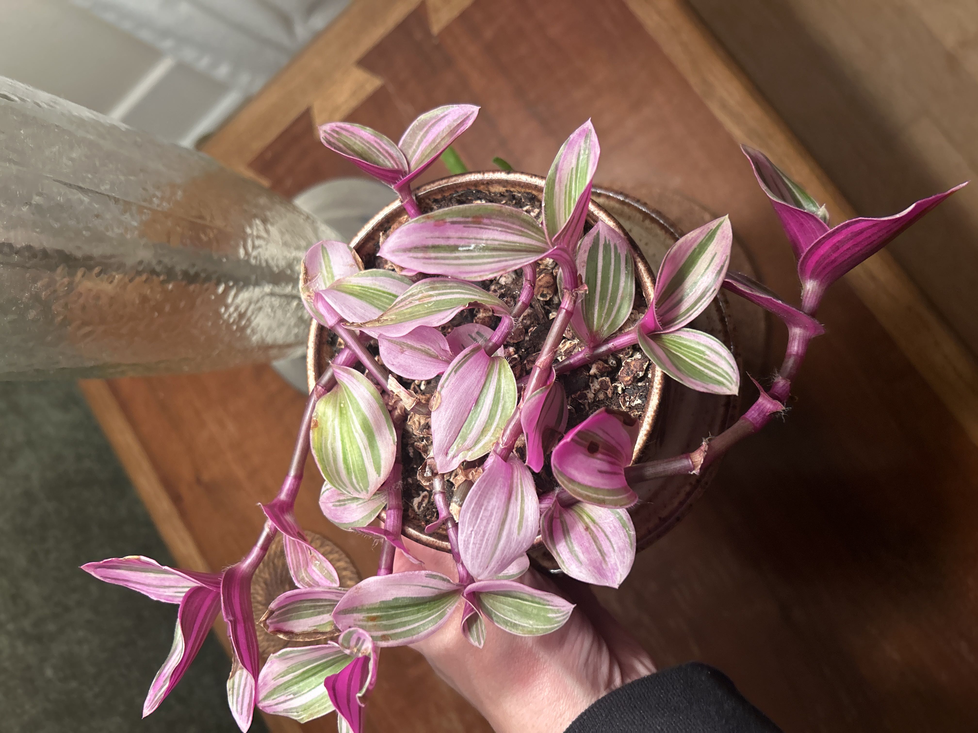 Photo from the post