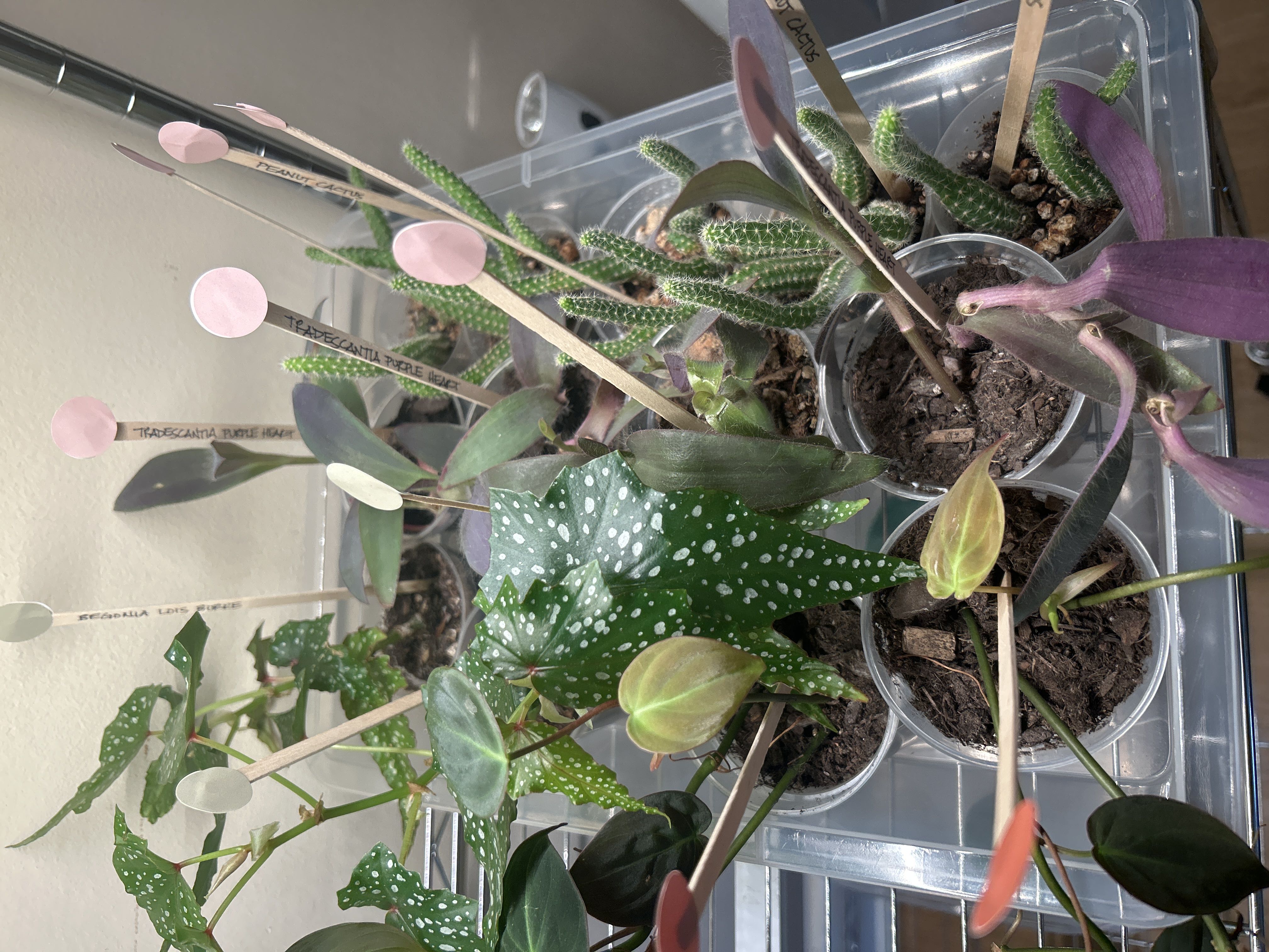 Photo from the post