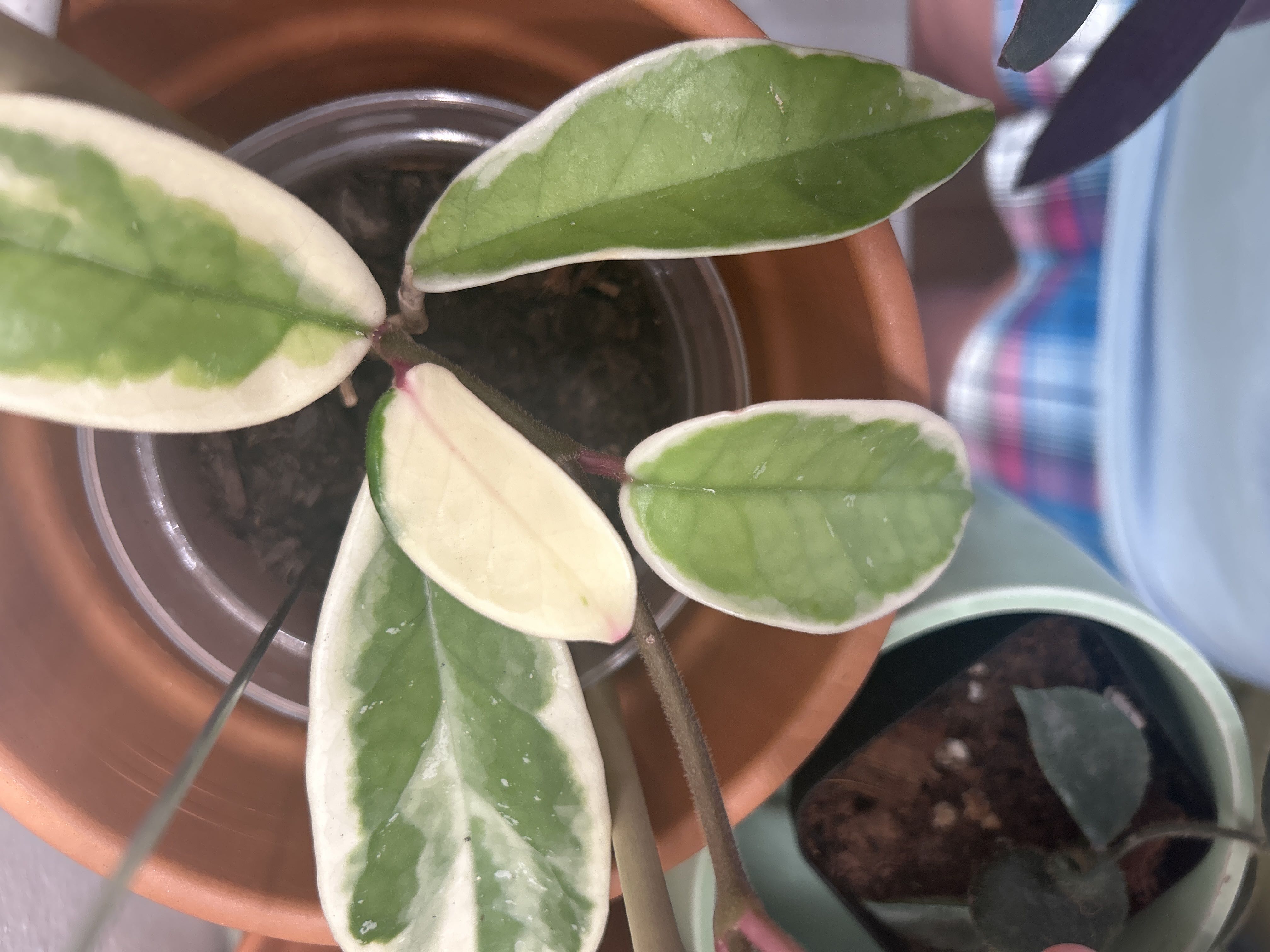 Photo from the post