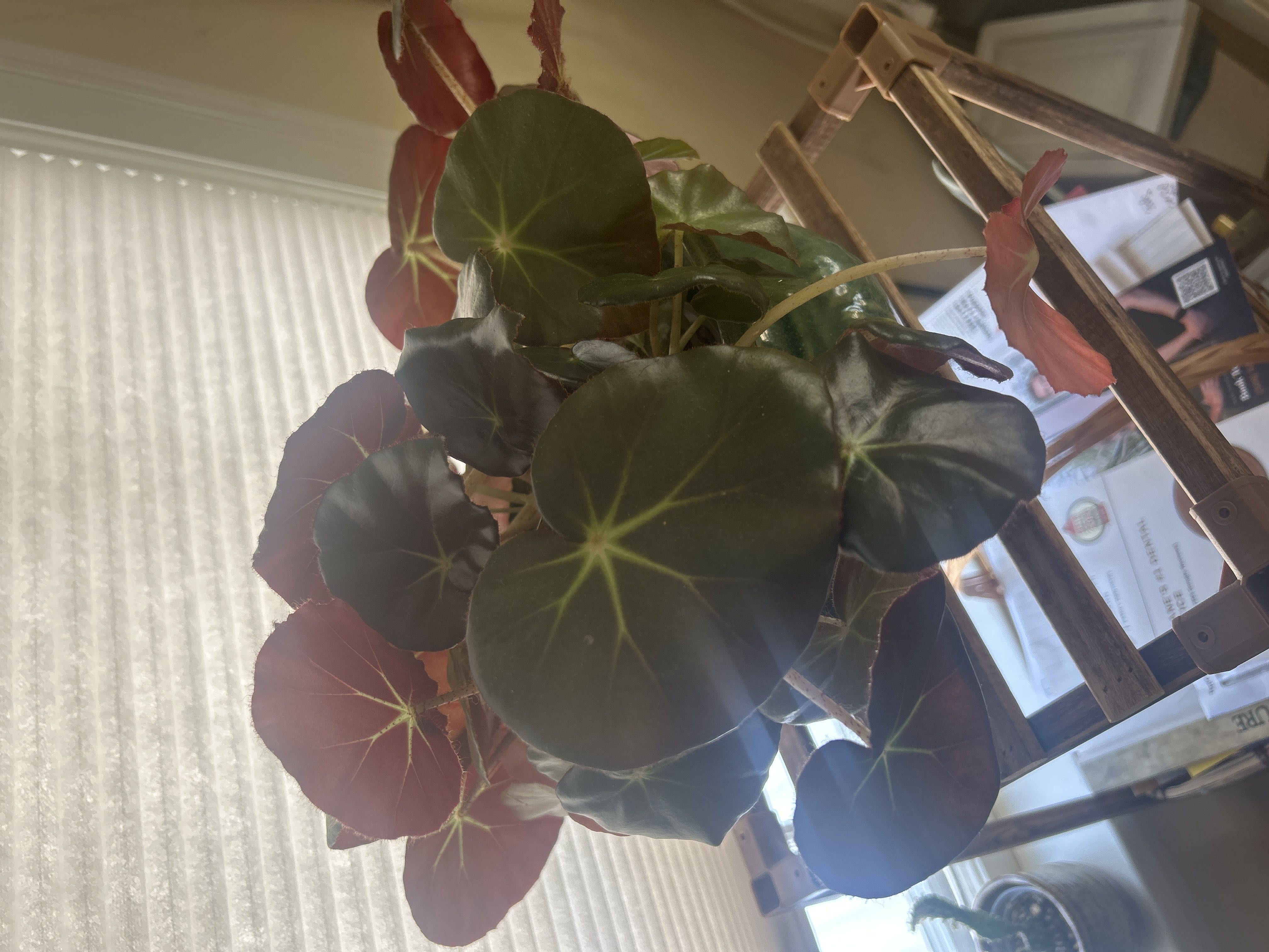 Photo from the post