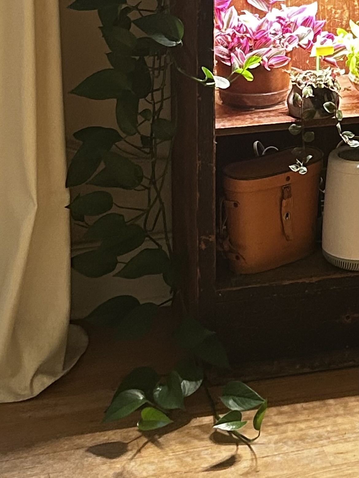 Photo from the post