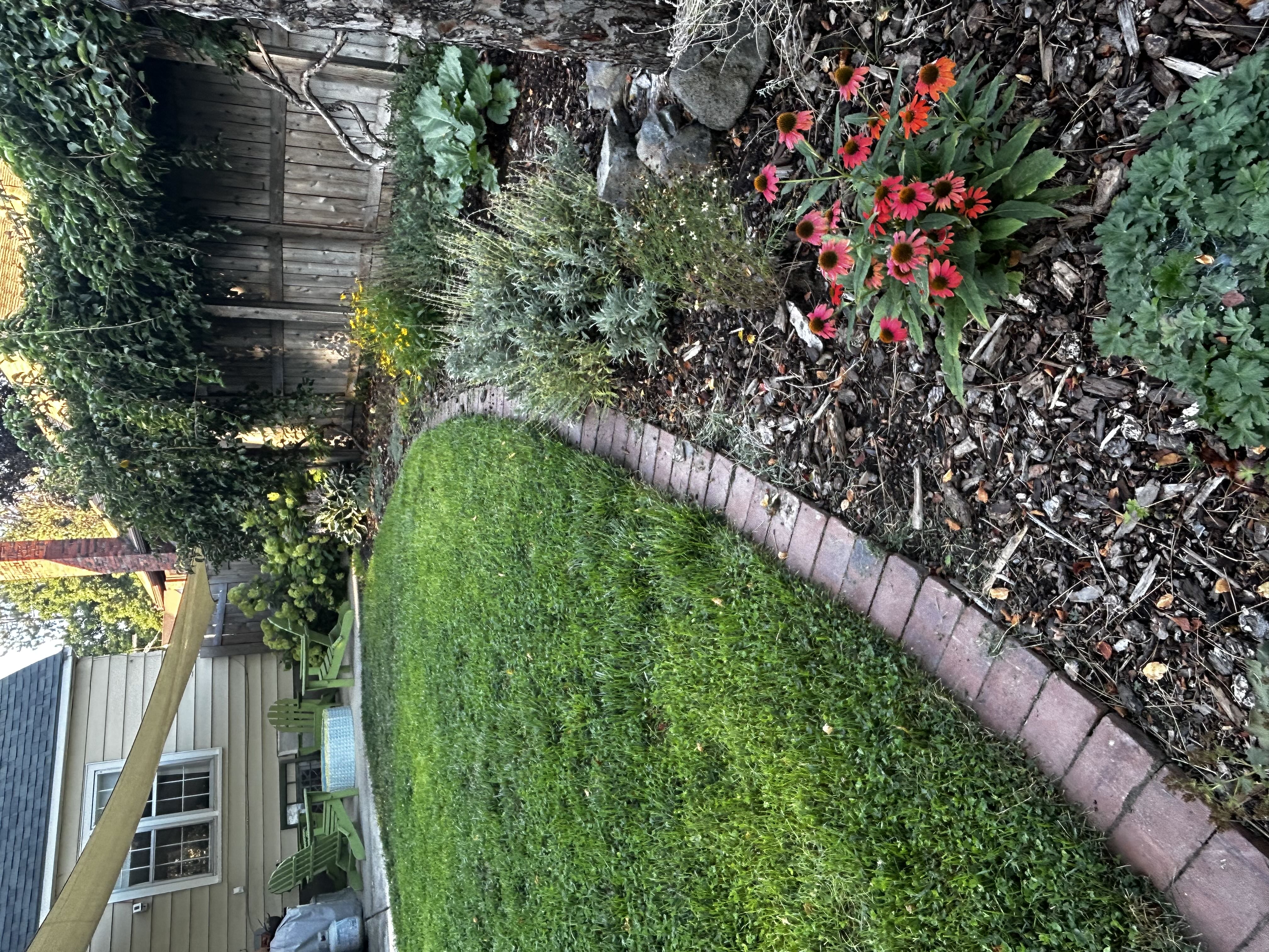 Photo from the post