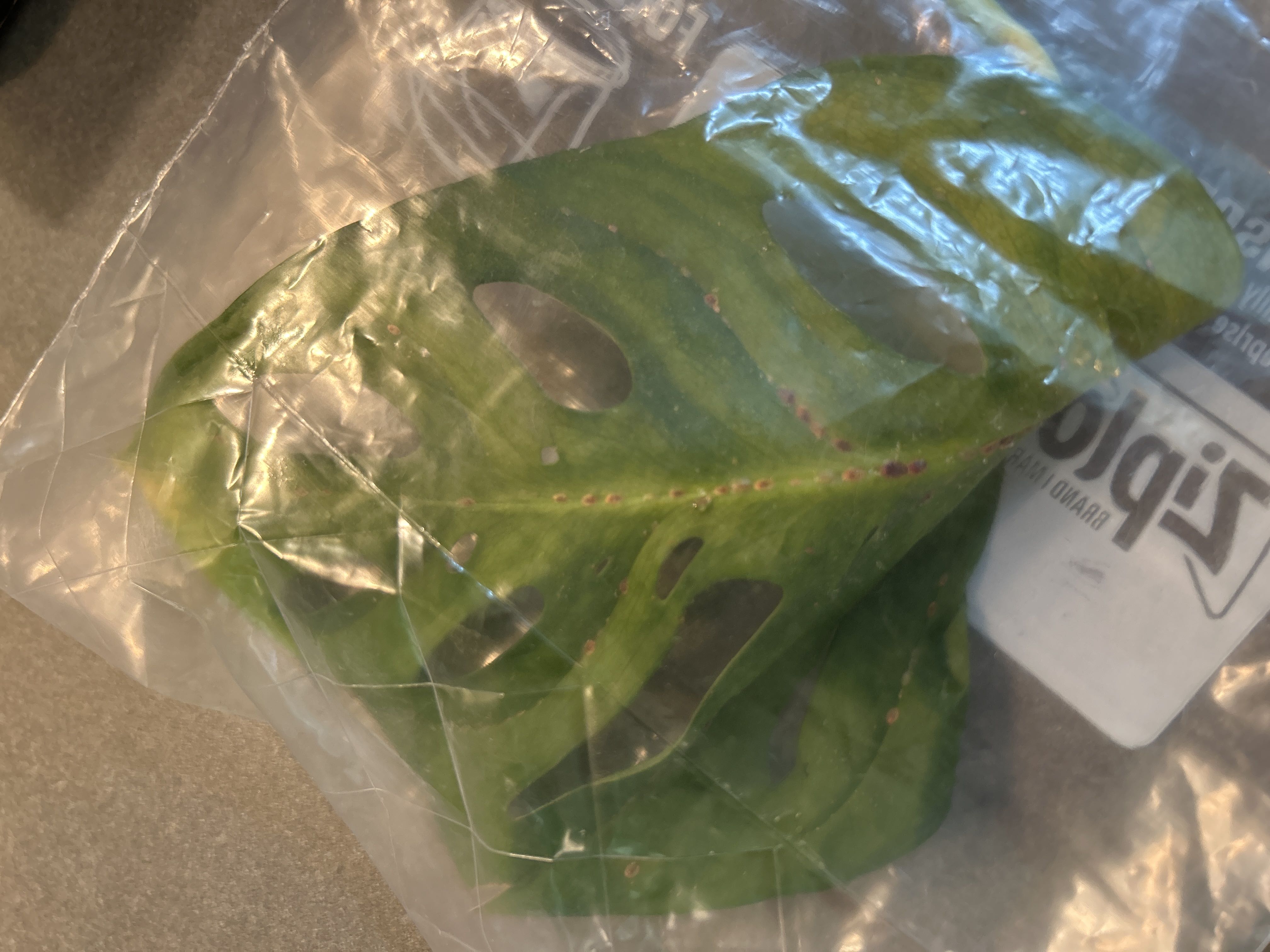 Photo from the post