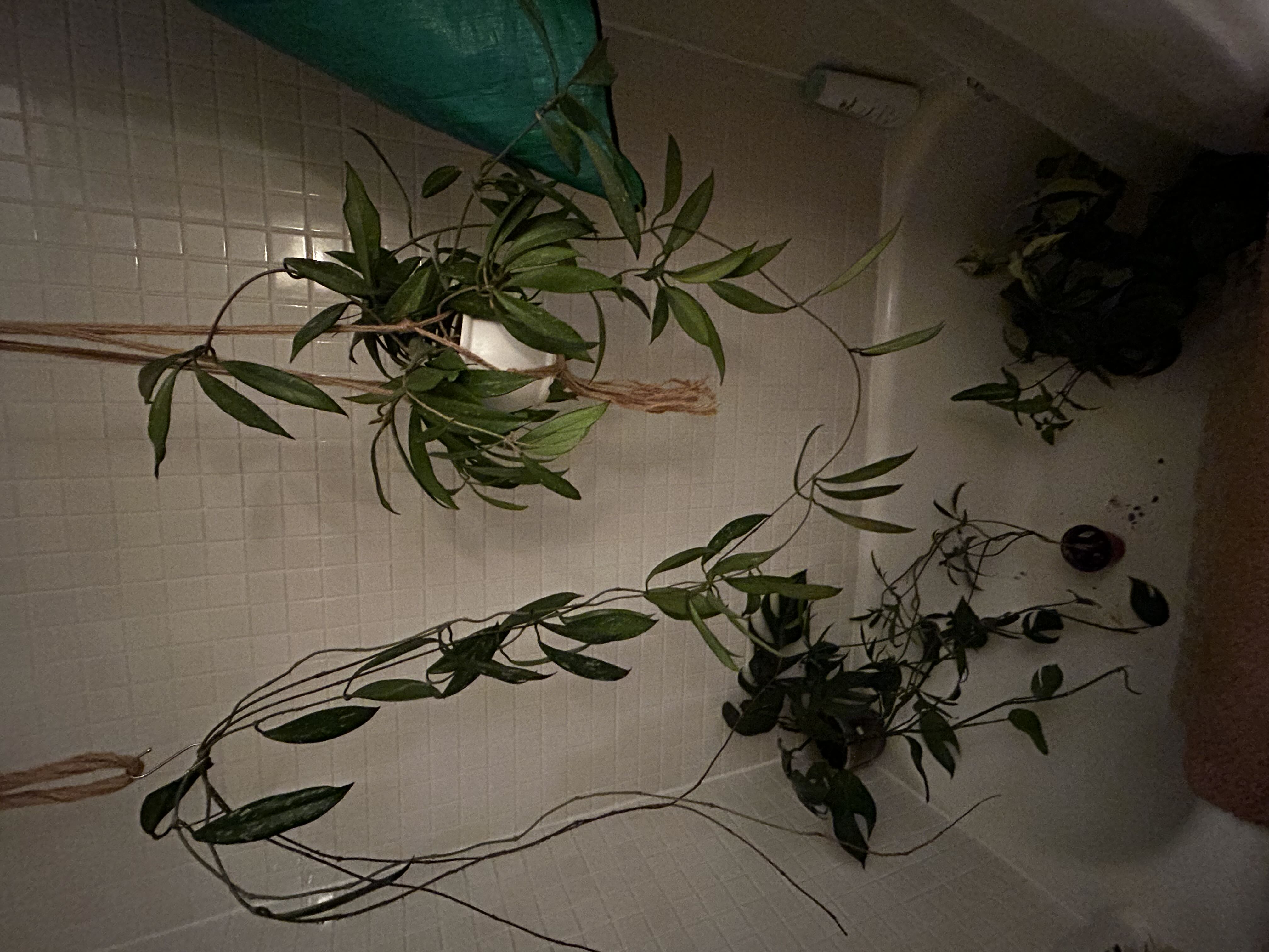 Photo from the post