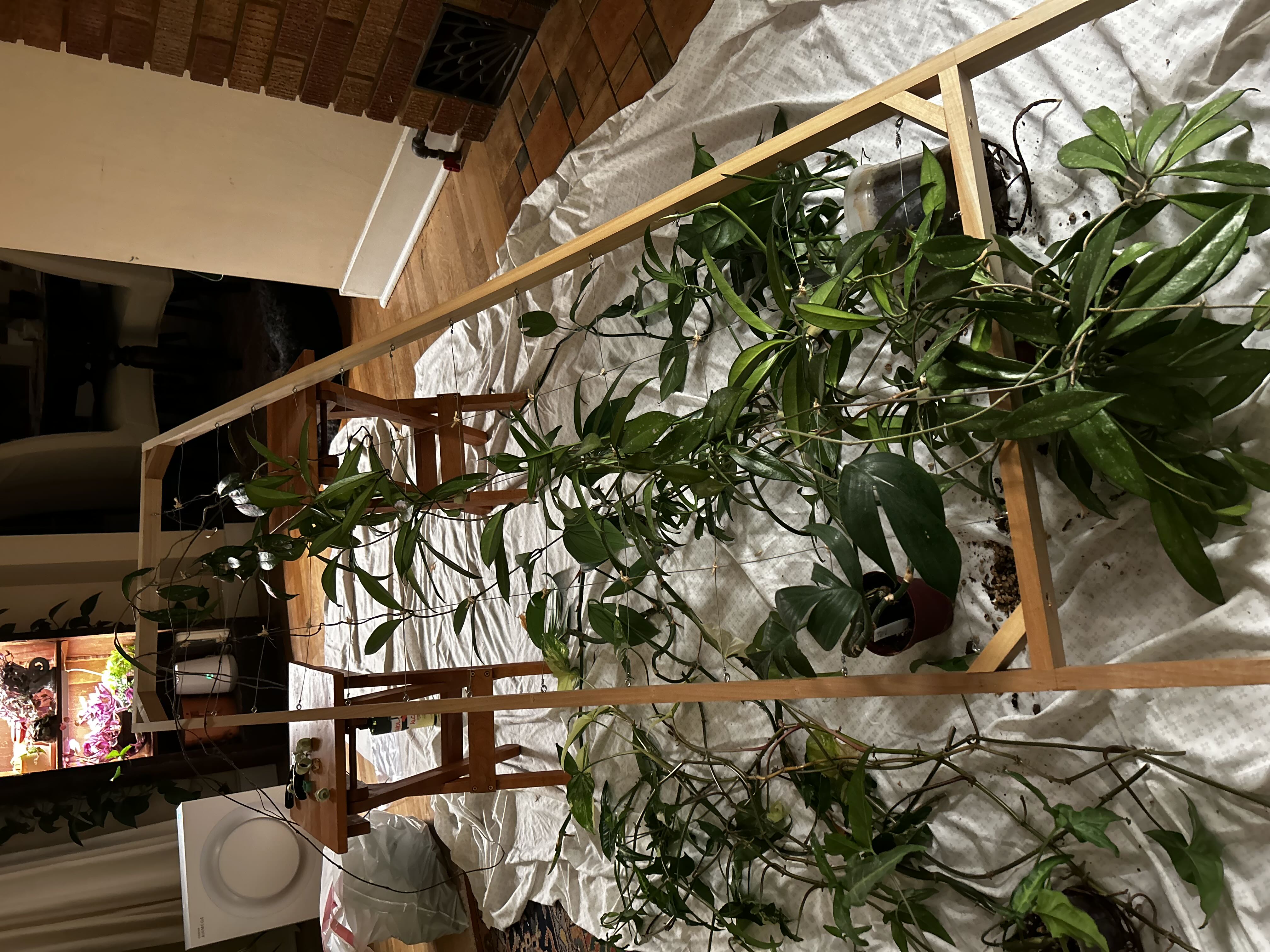 Photo from the post