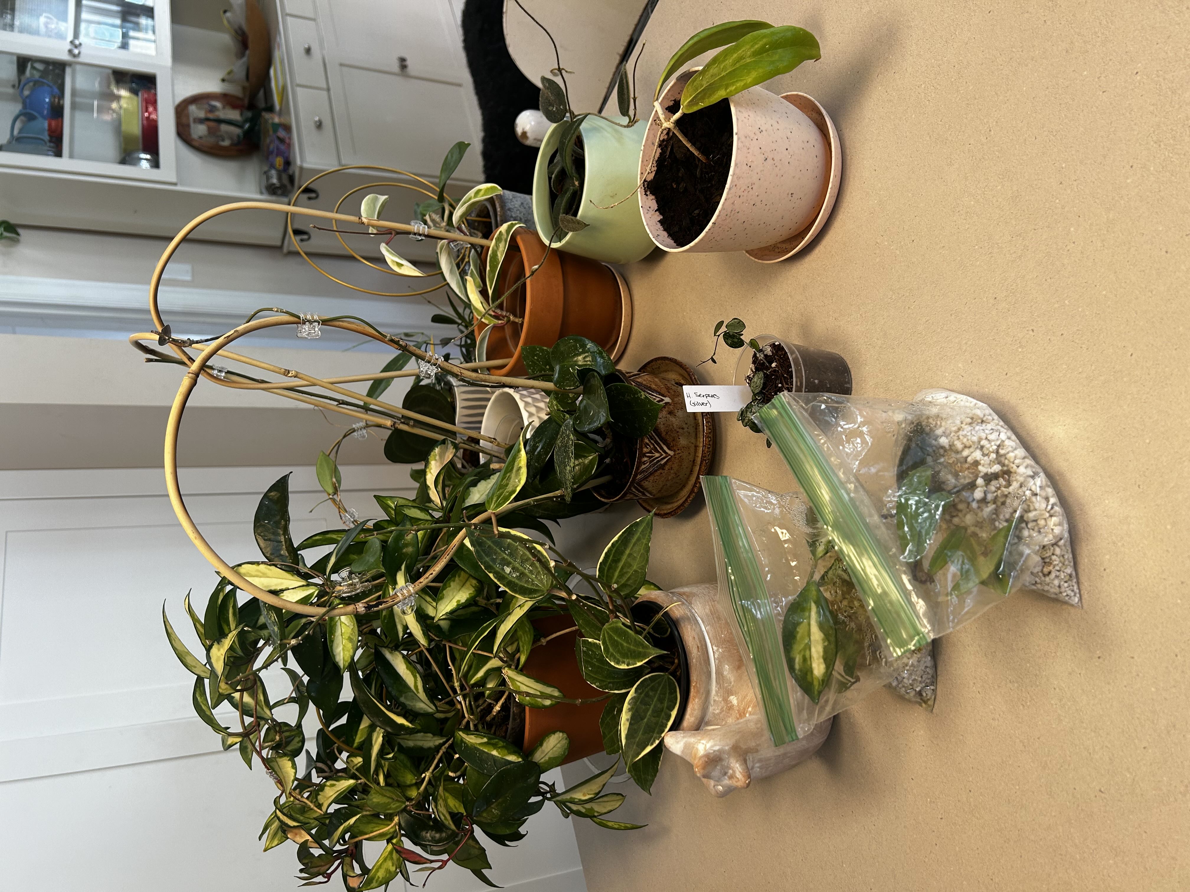 Photo from the post