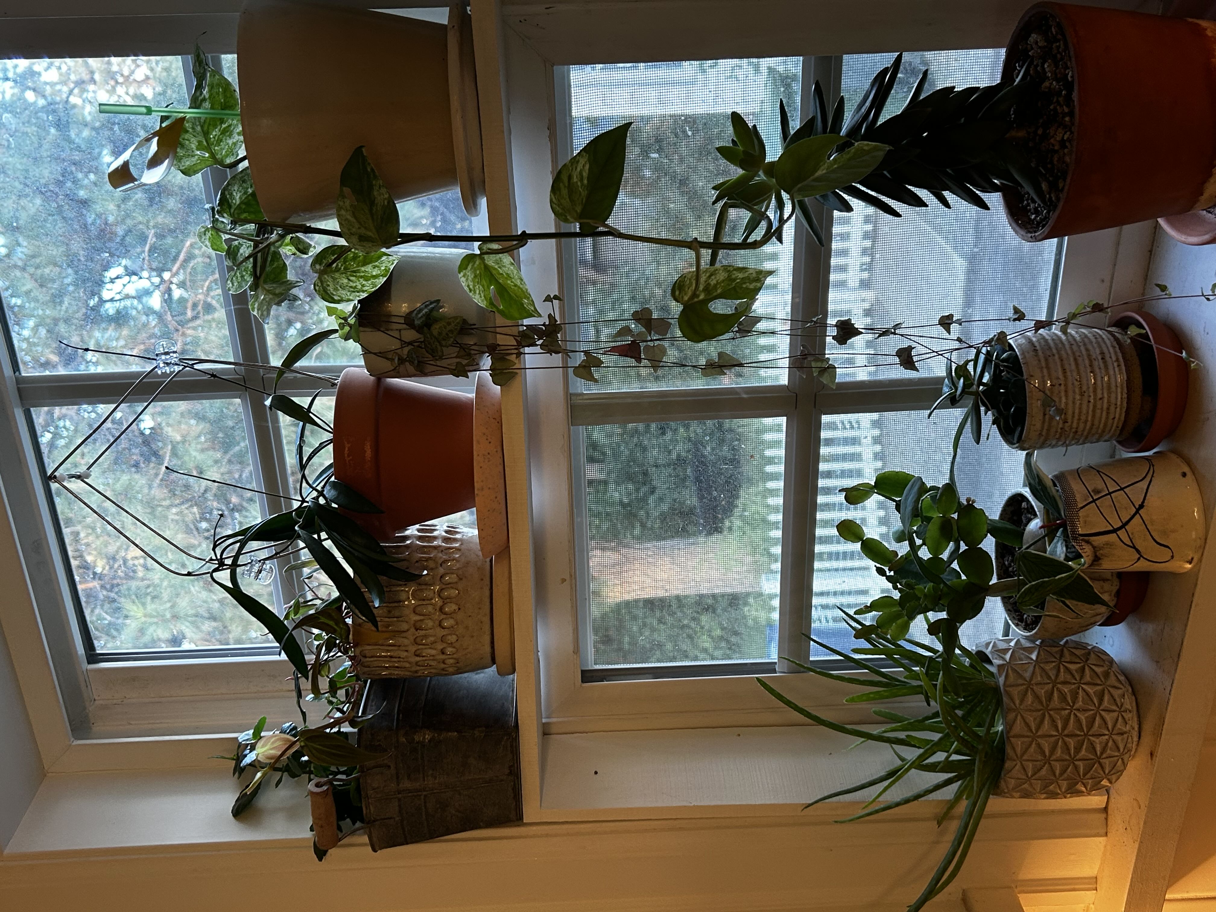 Photo from the post