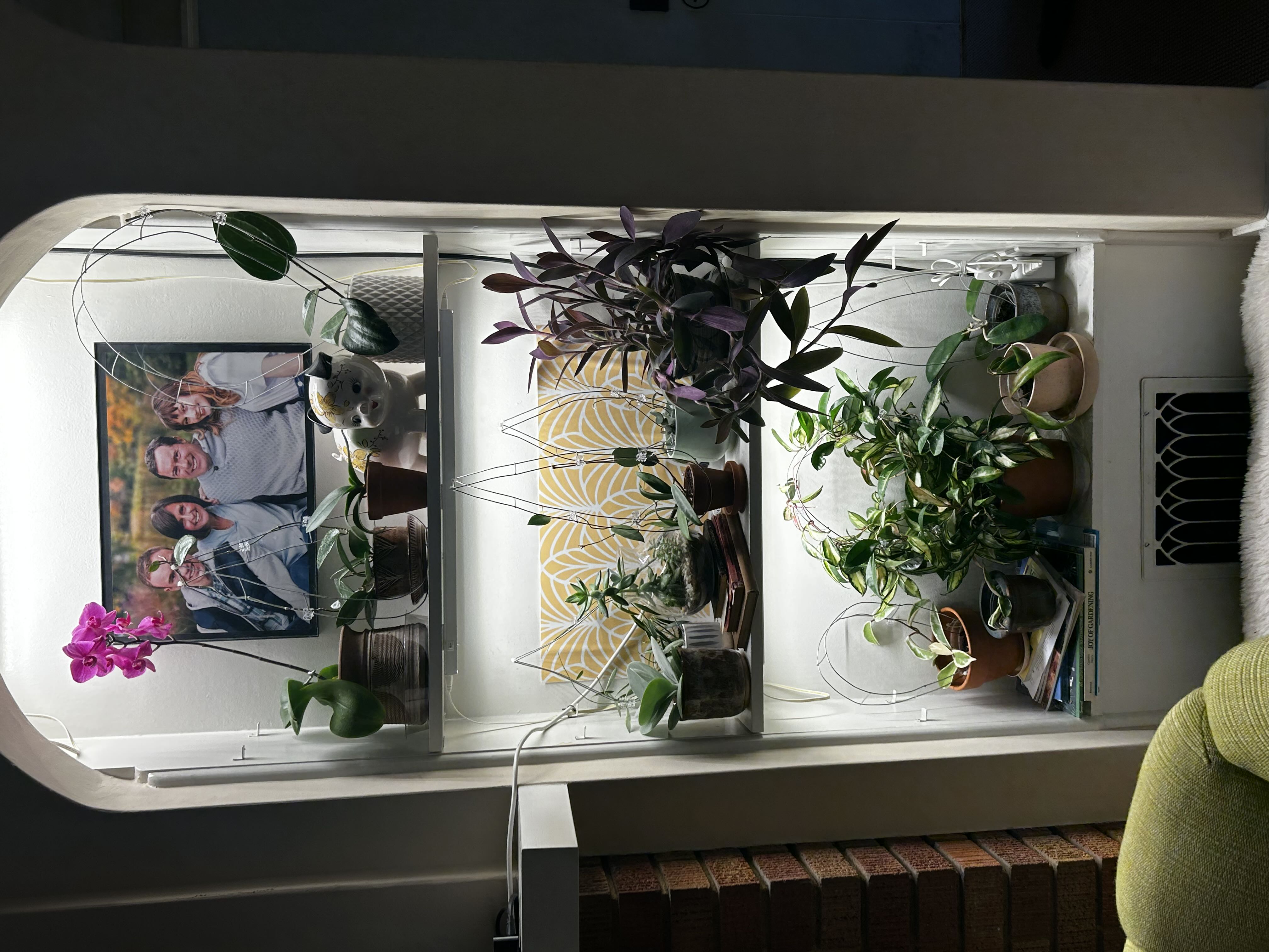 Photo from the post