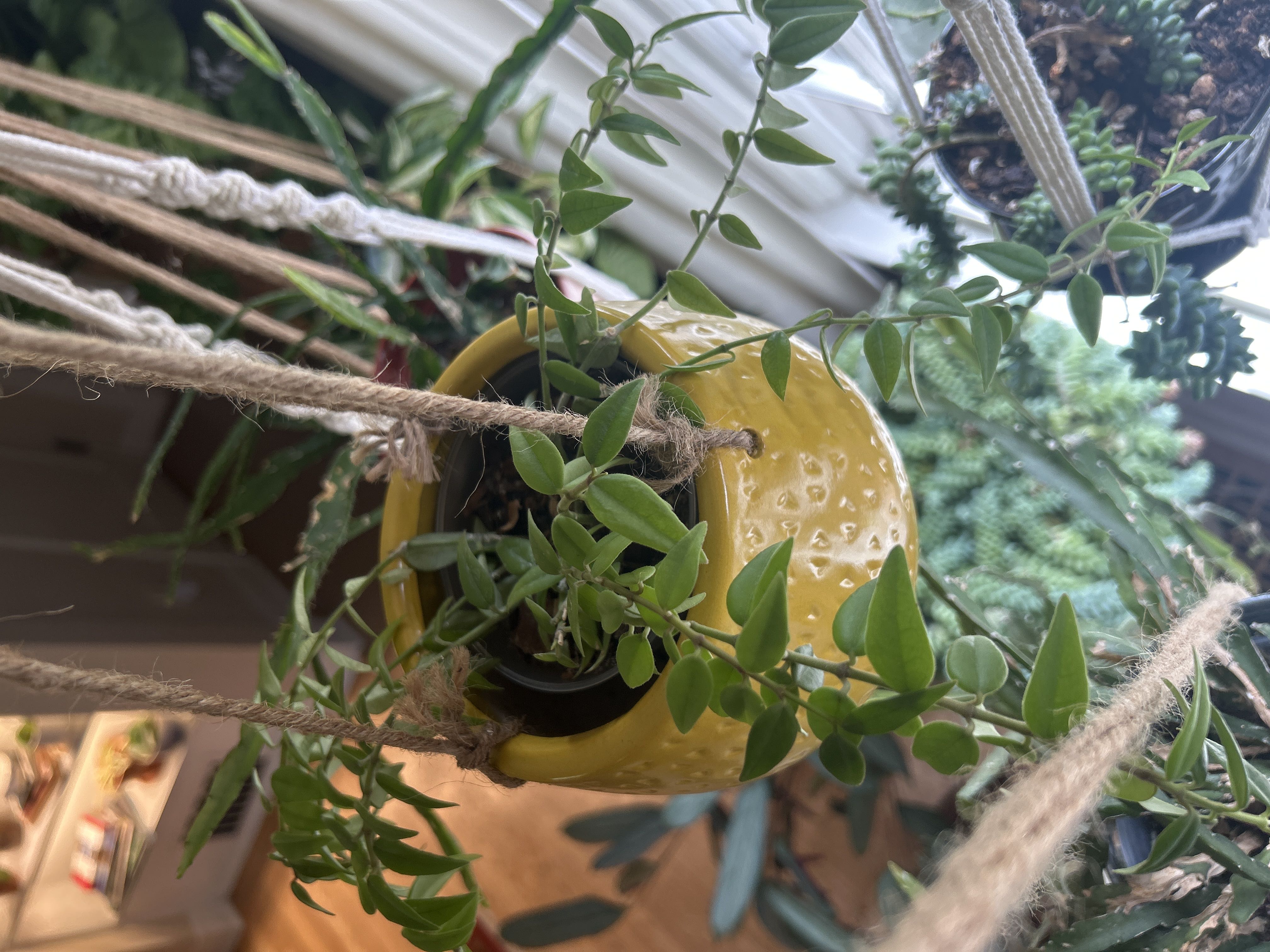 Photo from the post