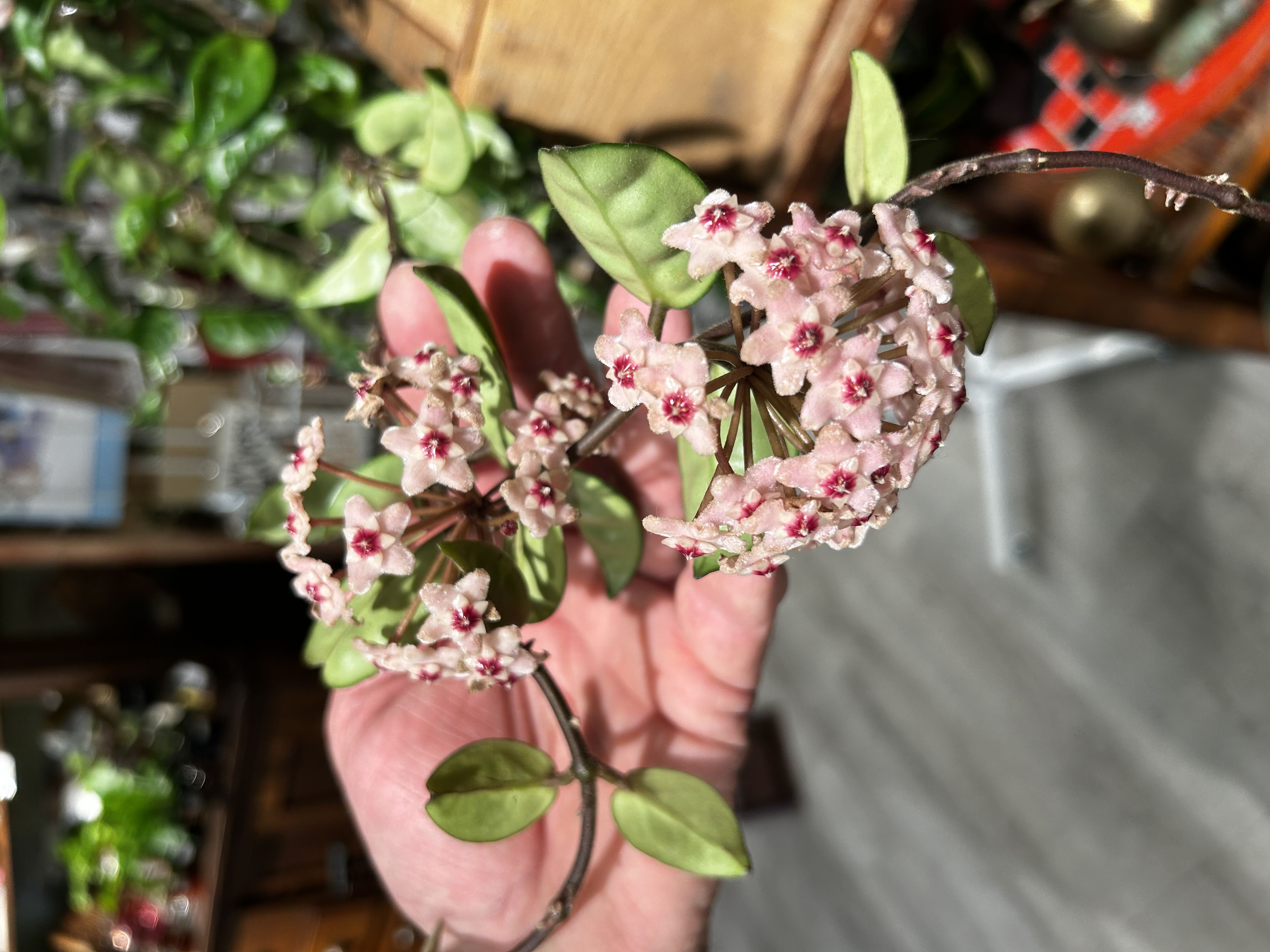 Photo from the post