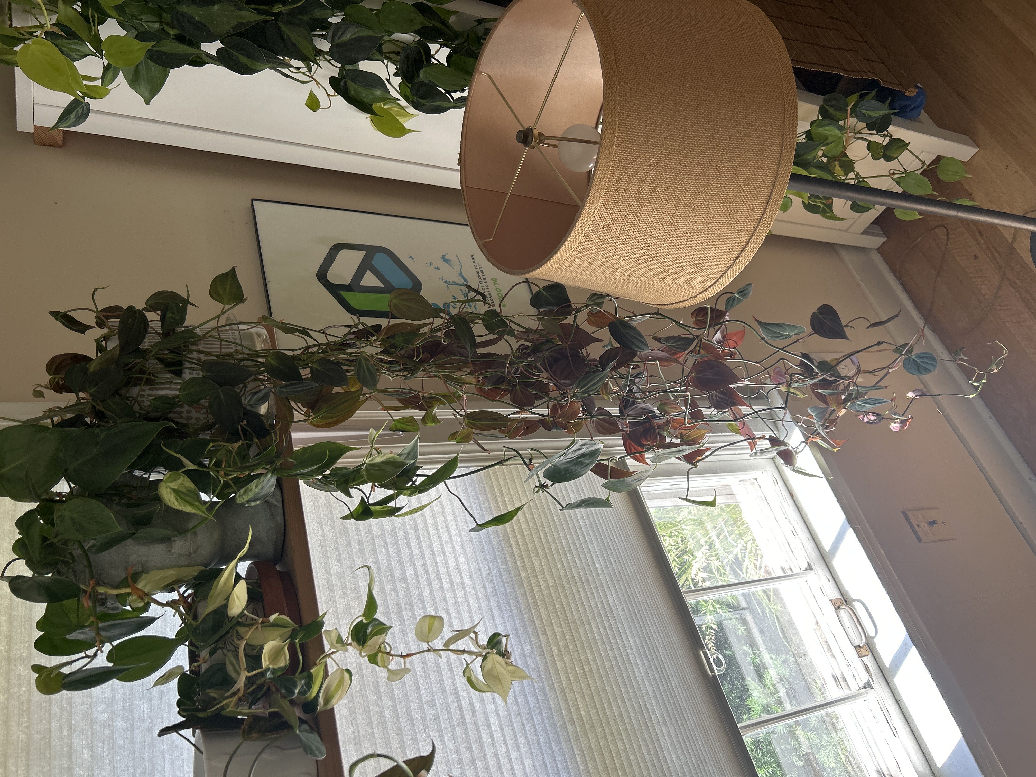 Photo from the post