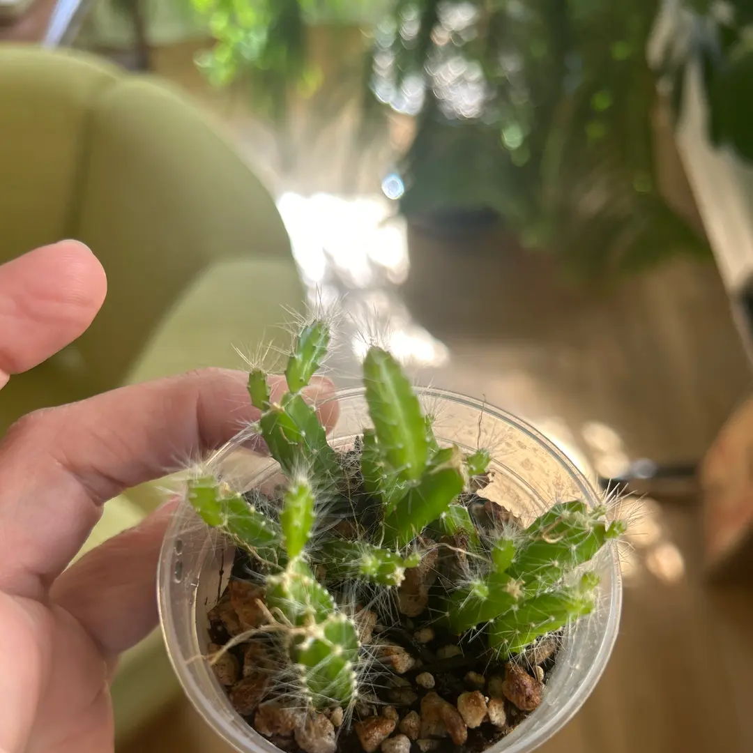 Photo from the post