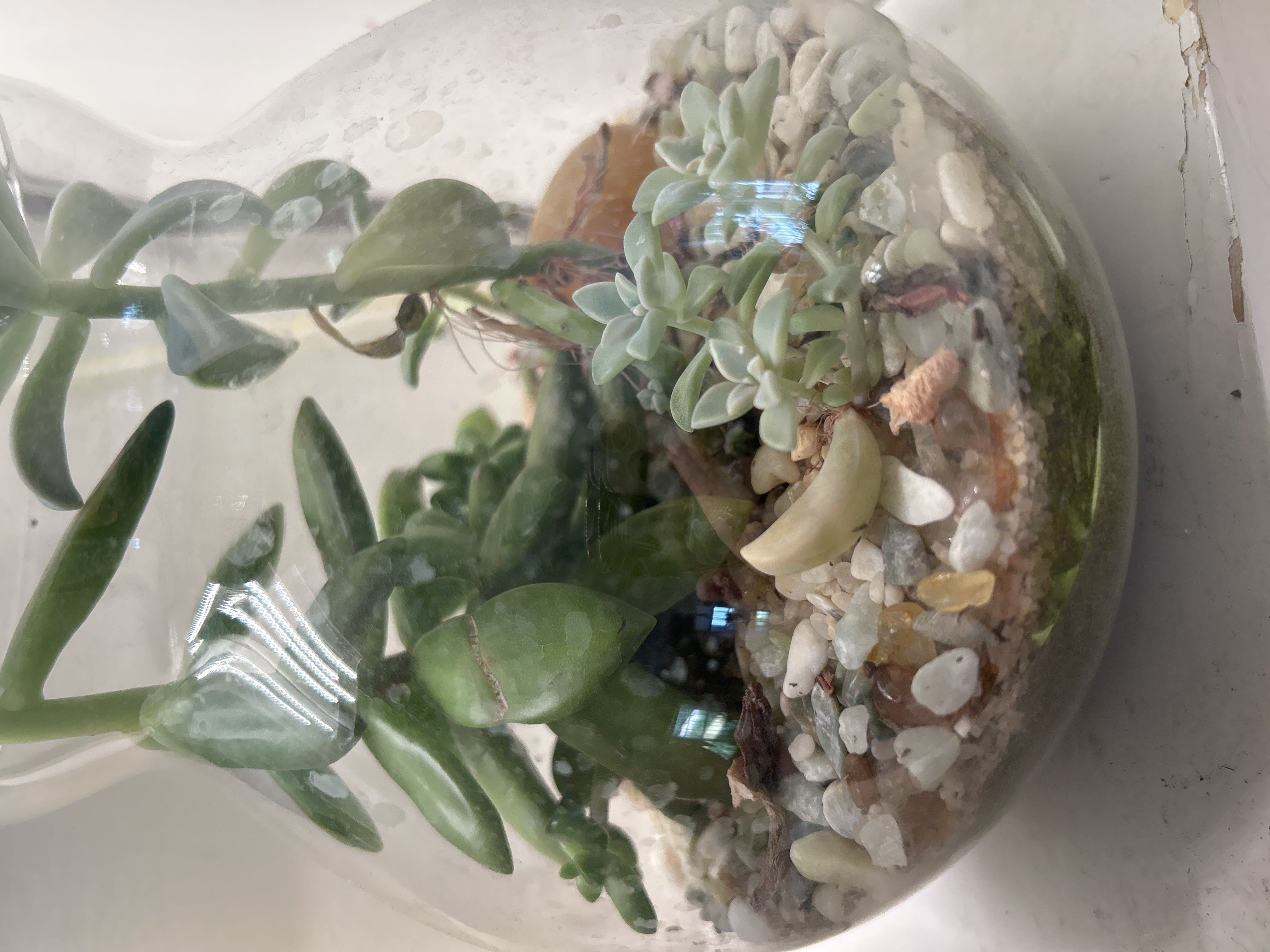 Photo from the post