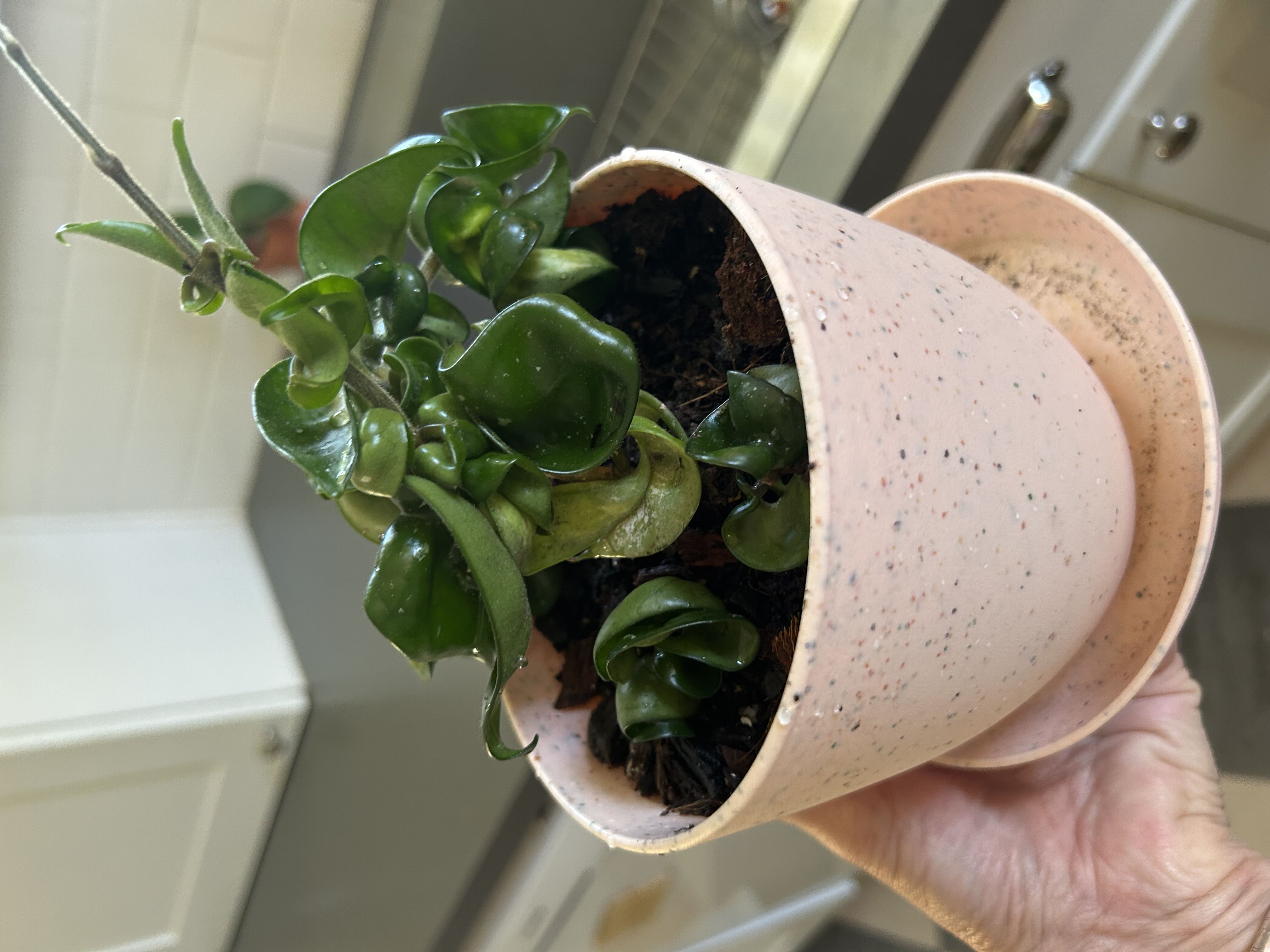 Photo from the post