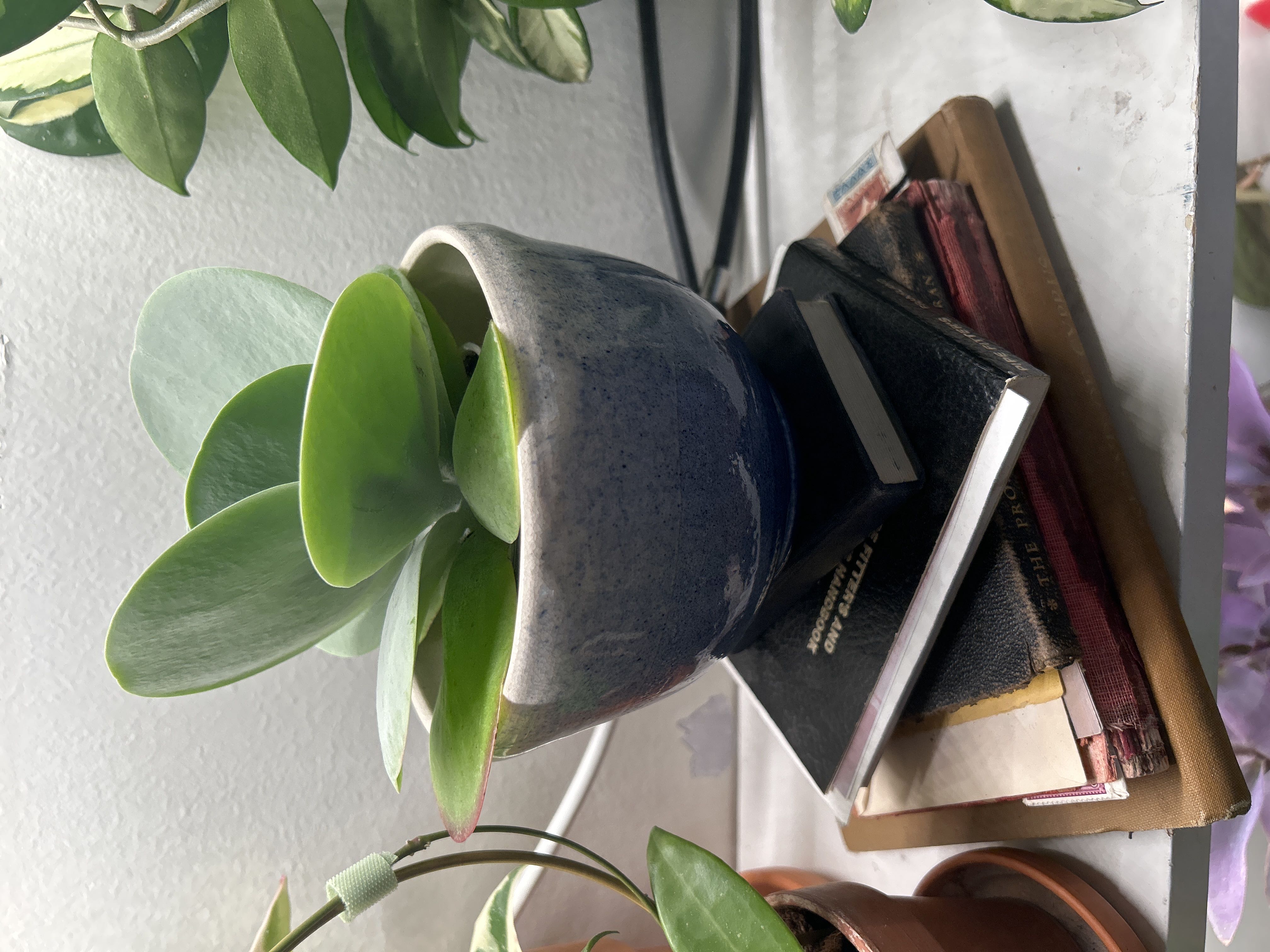 Photo from the post