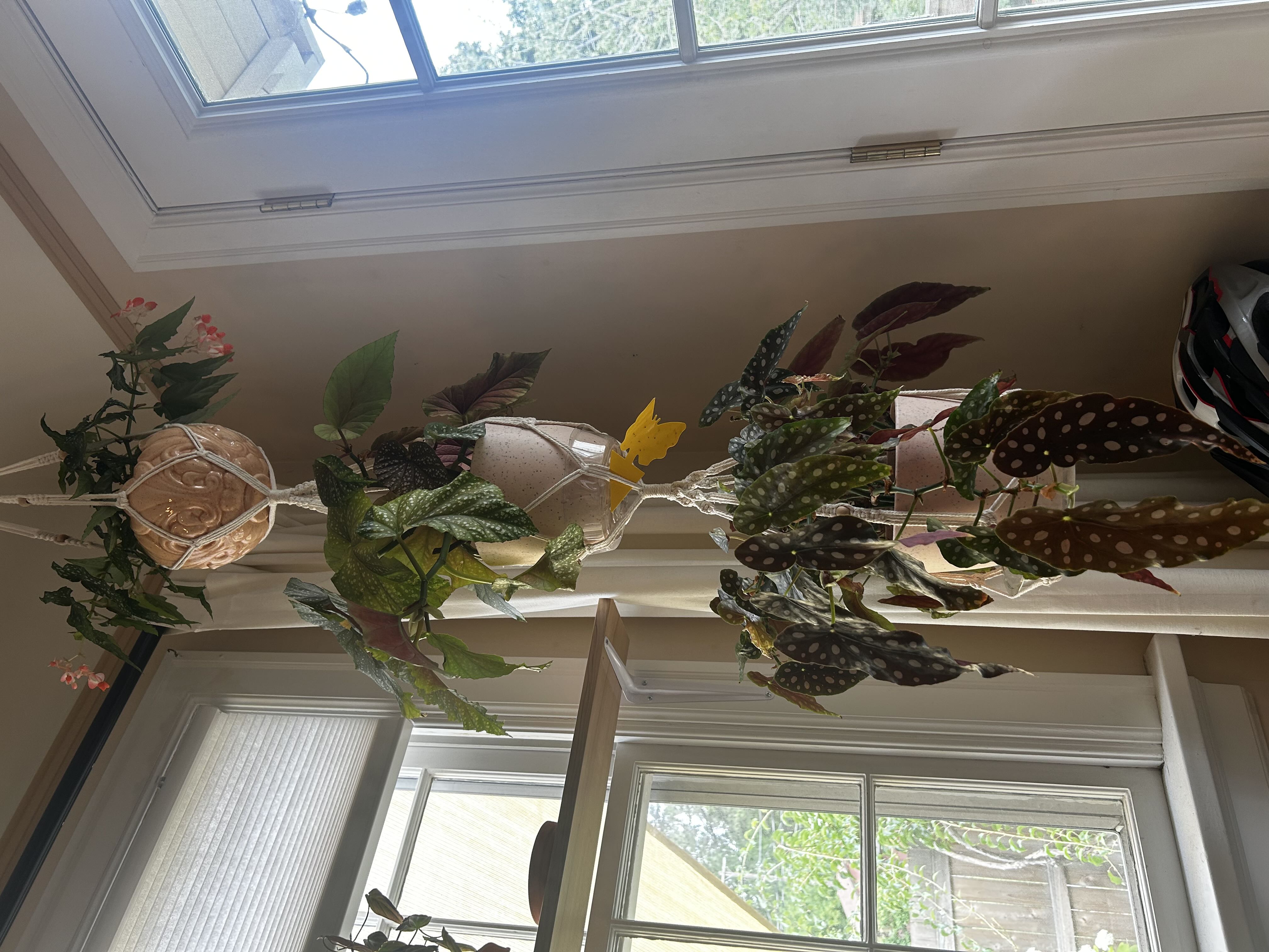Photo from the post