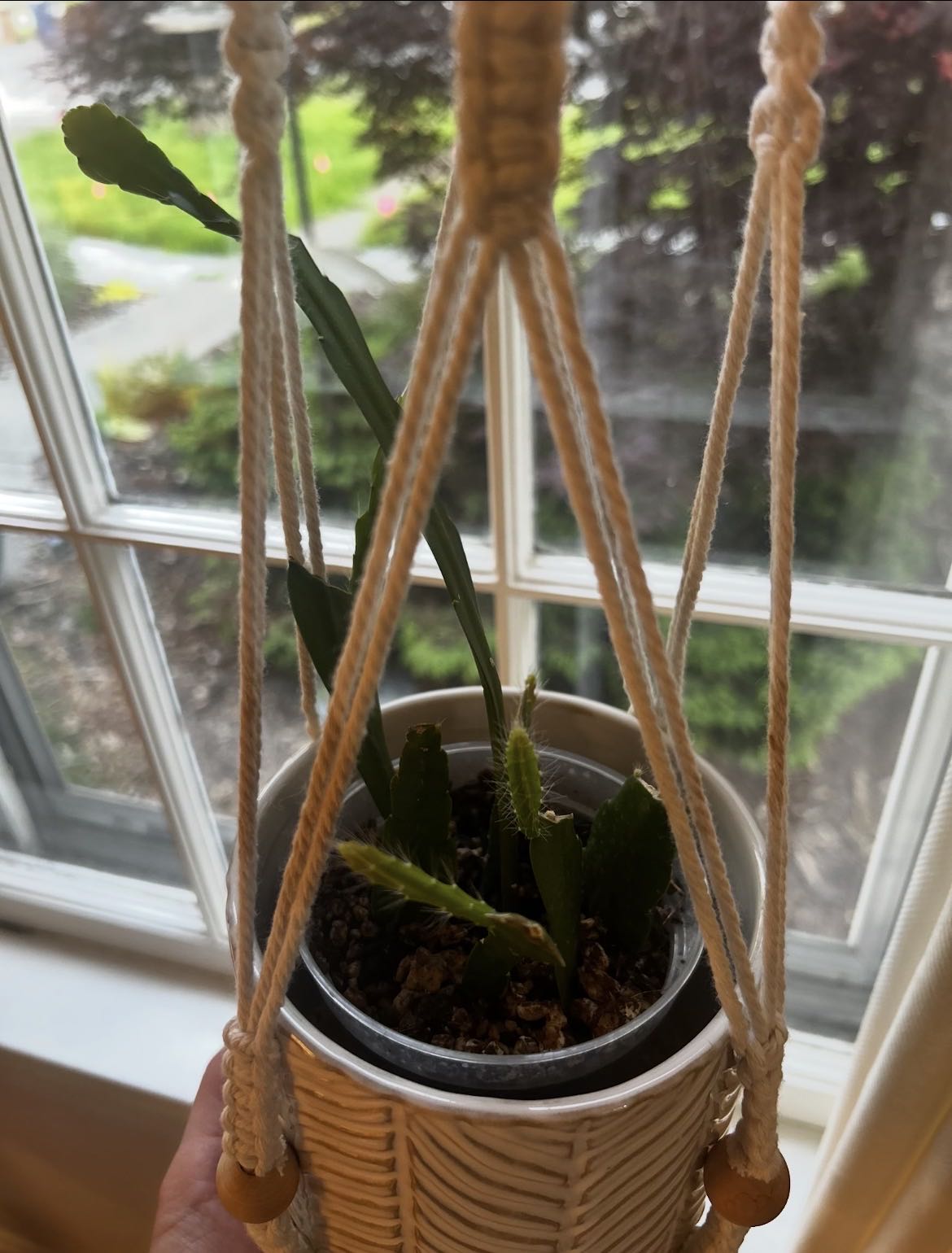 Photo from the post