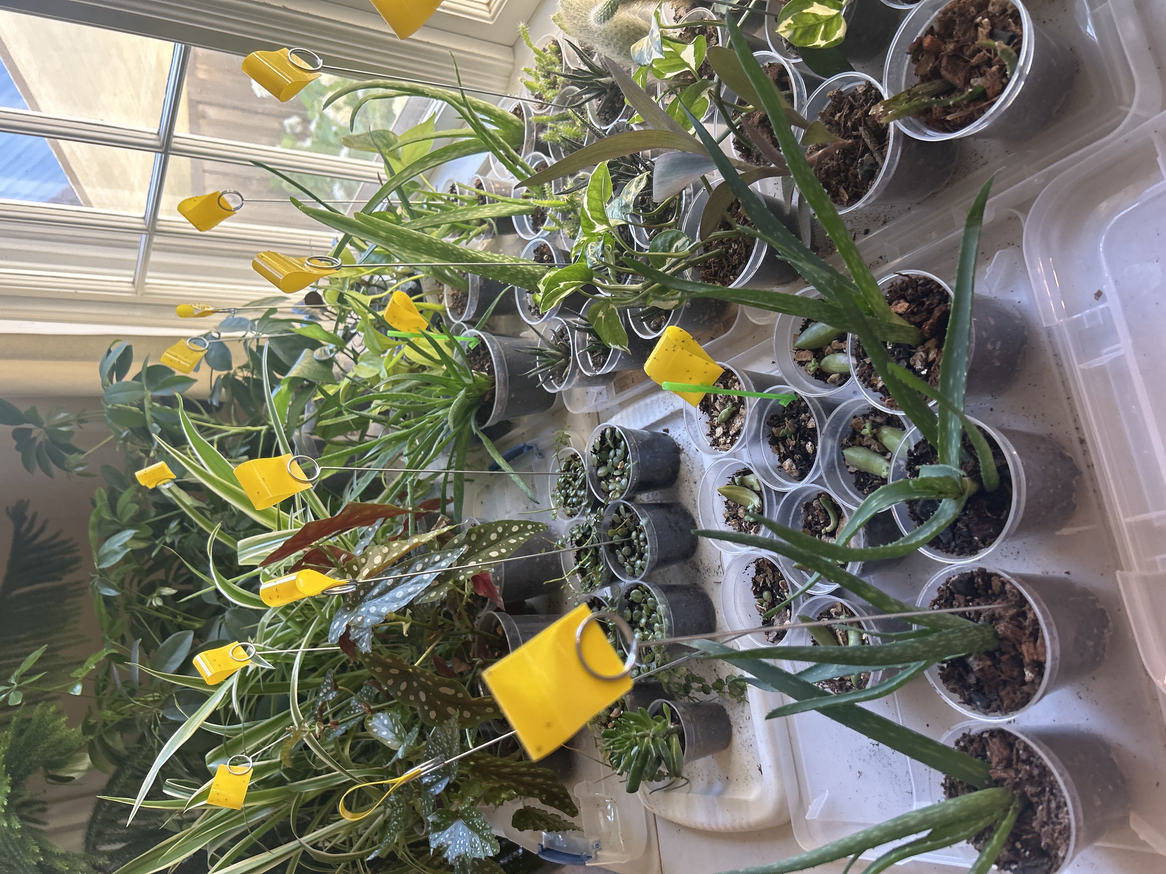 Photo from the post