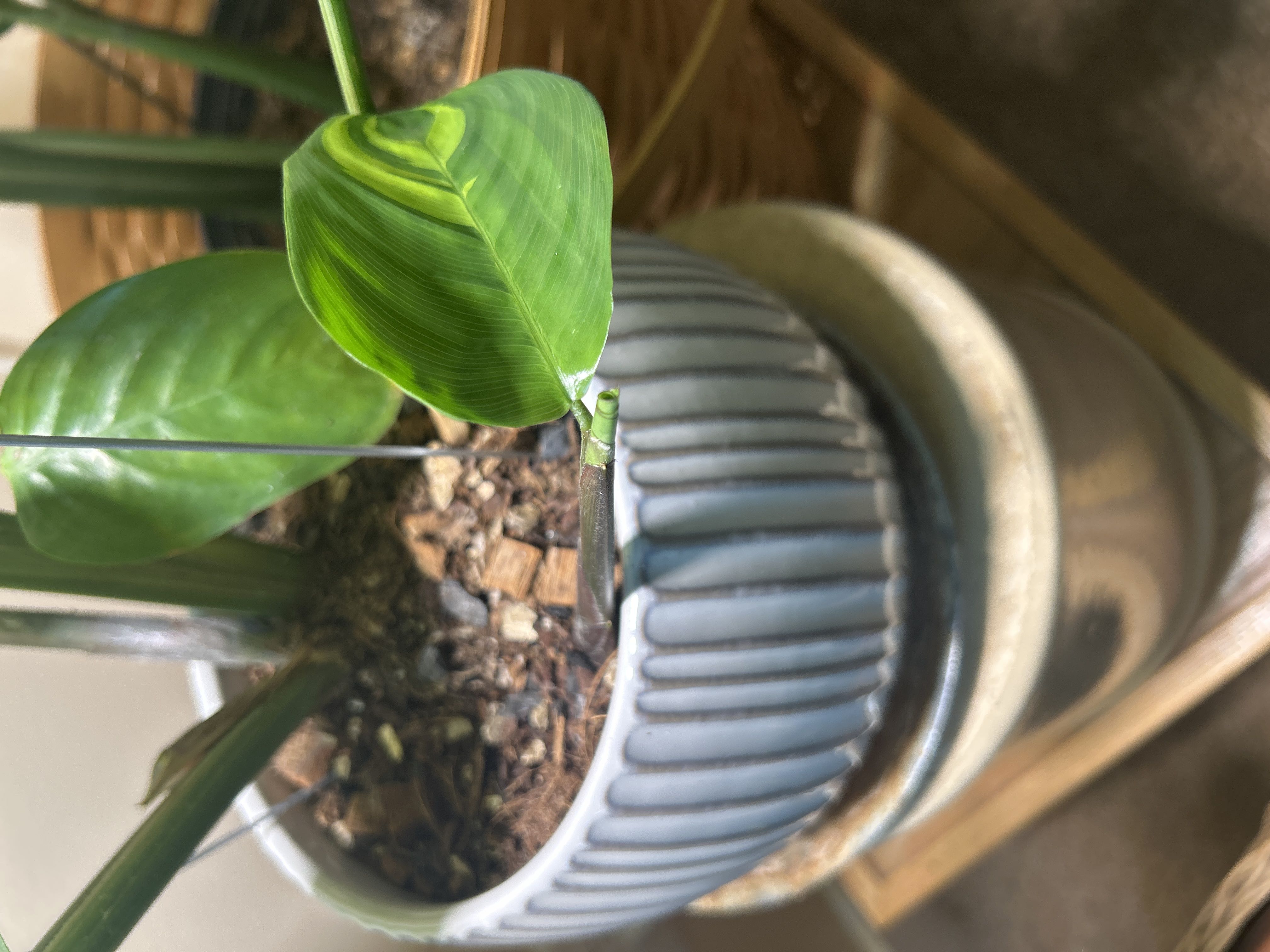 Photo from the post