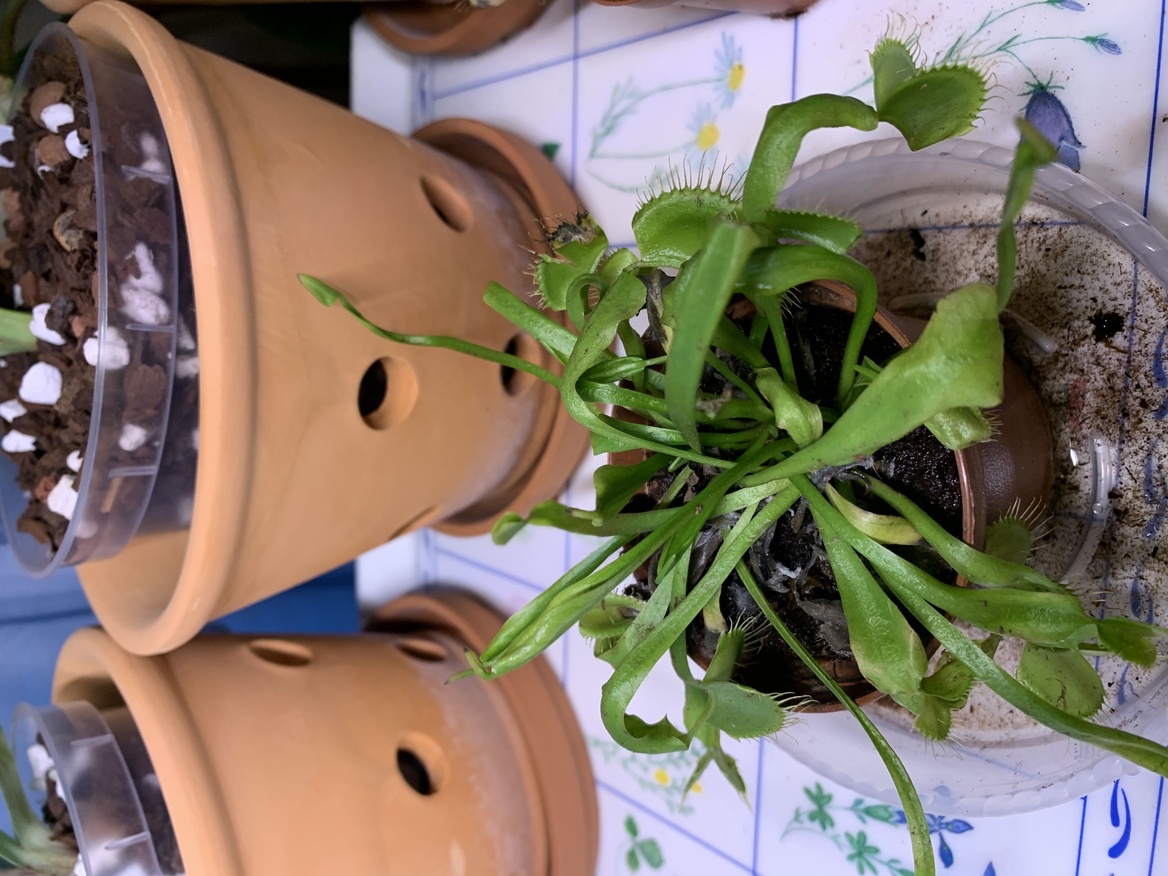 Photo from the post