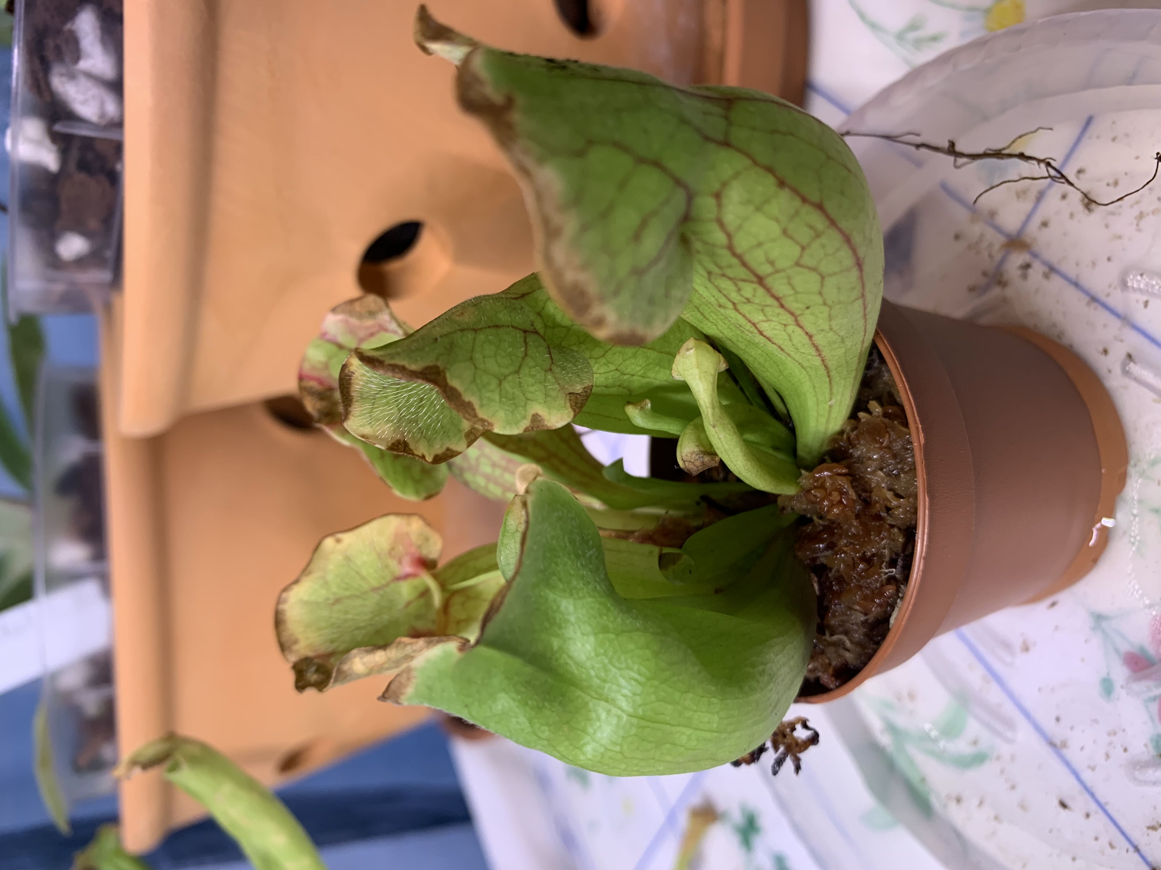 Photo from the post