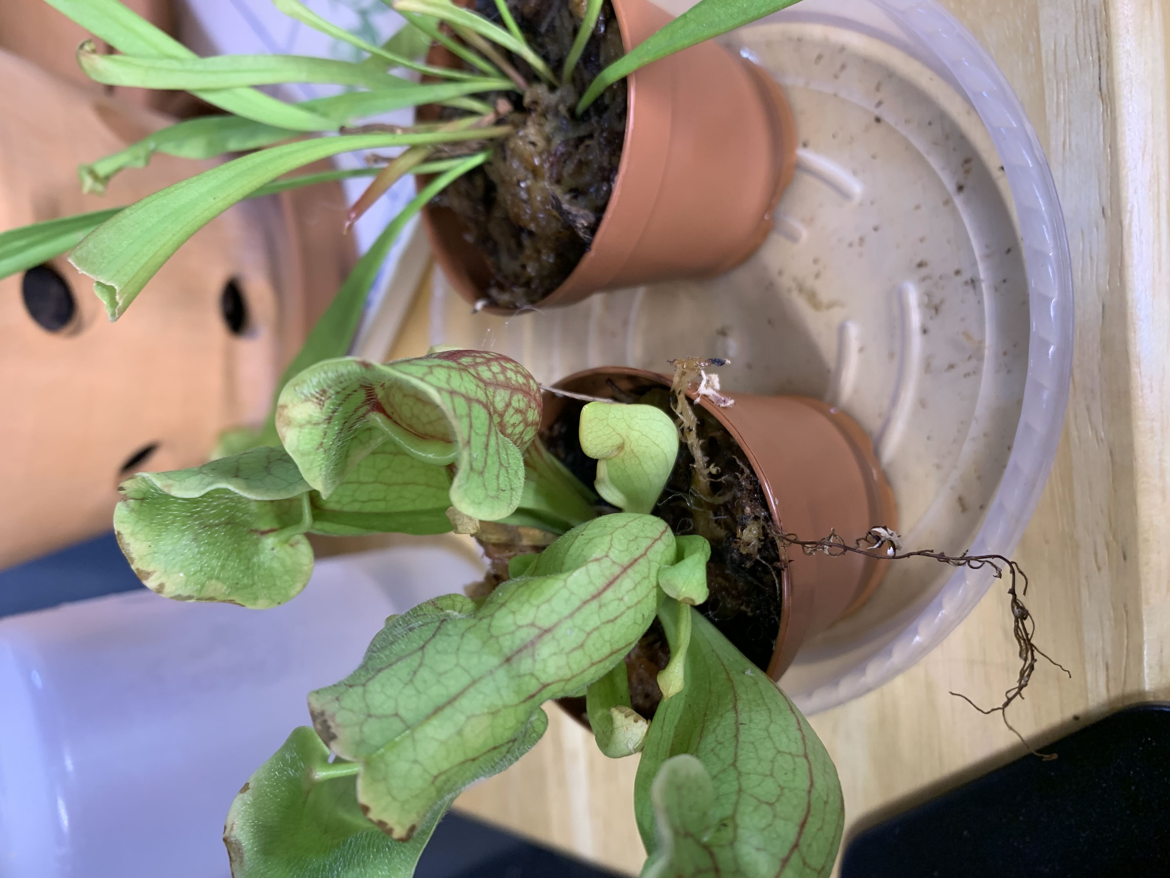 Photo from the post