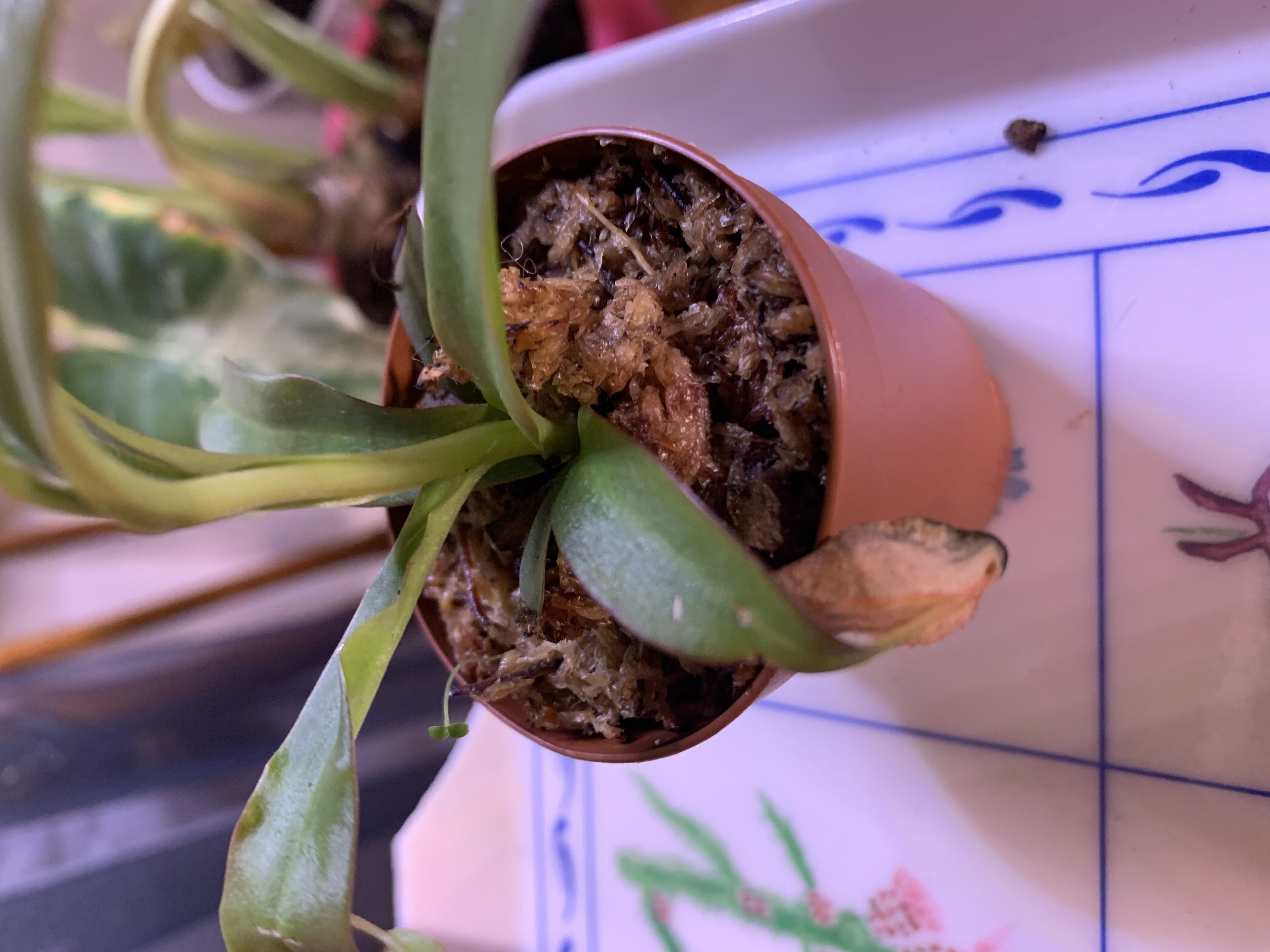 Photo from the post