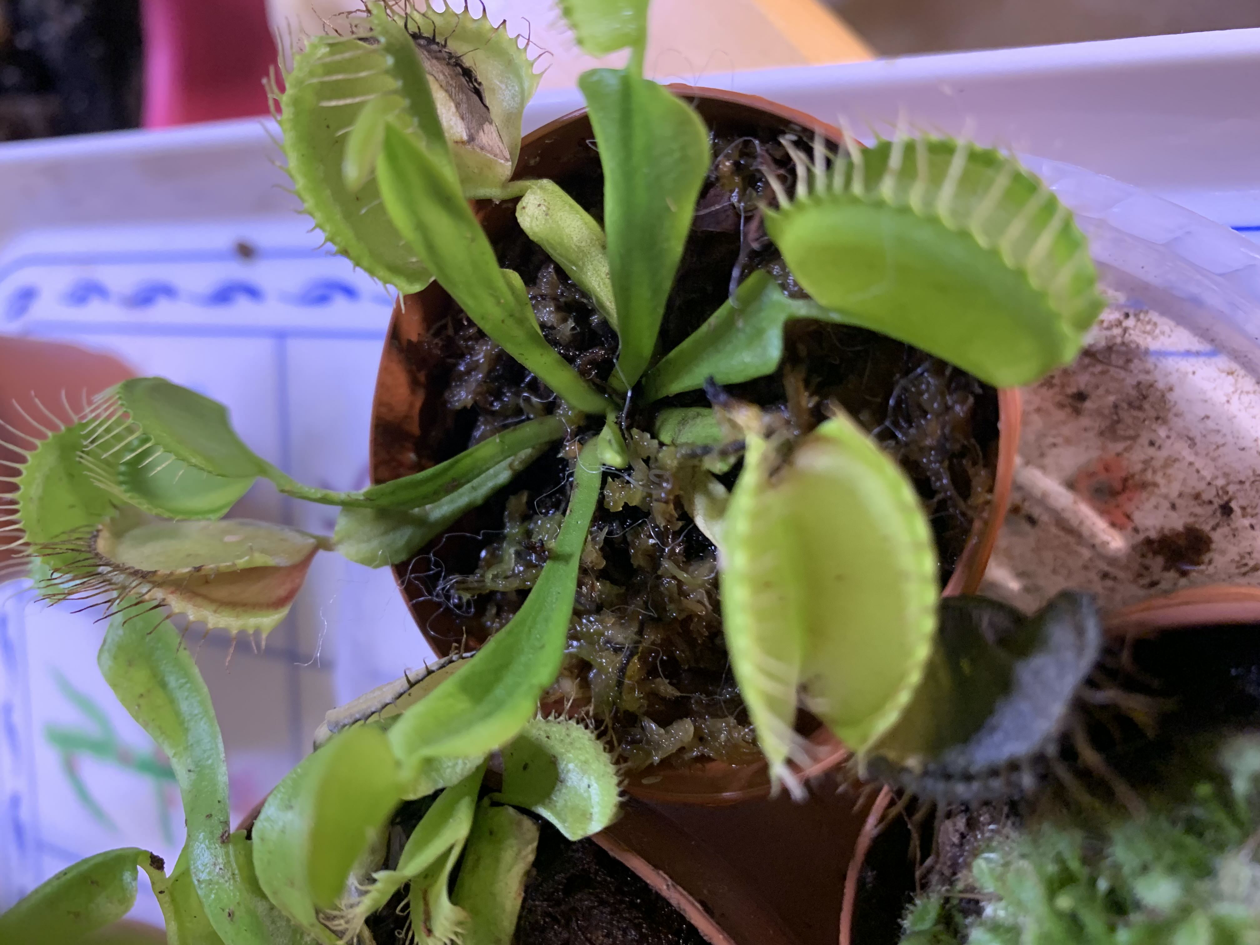 Photo from the post