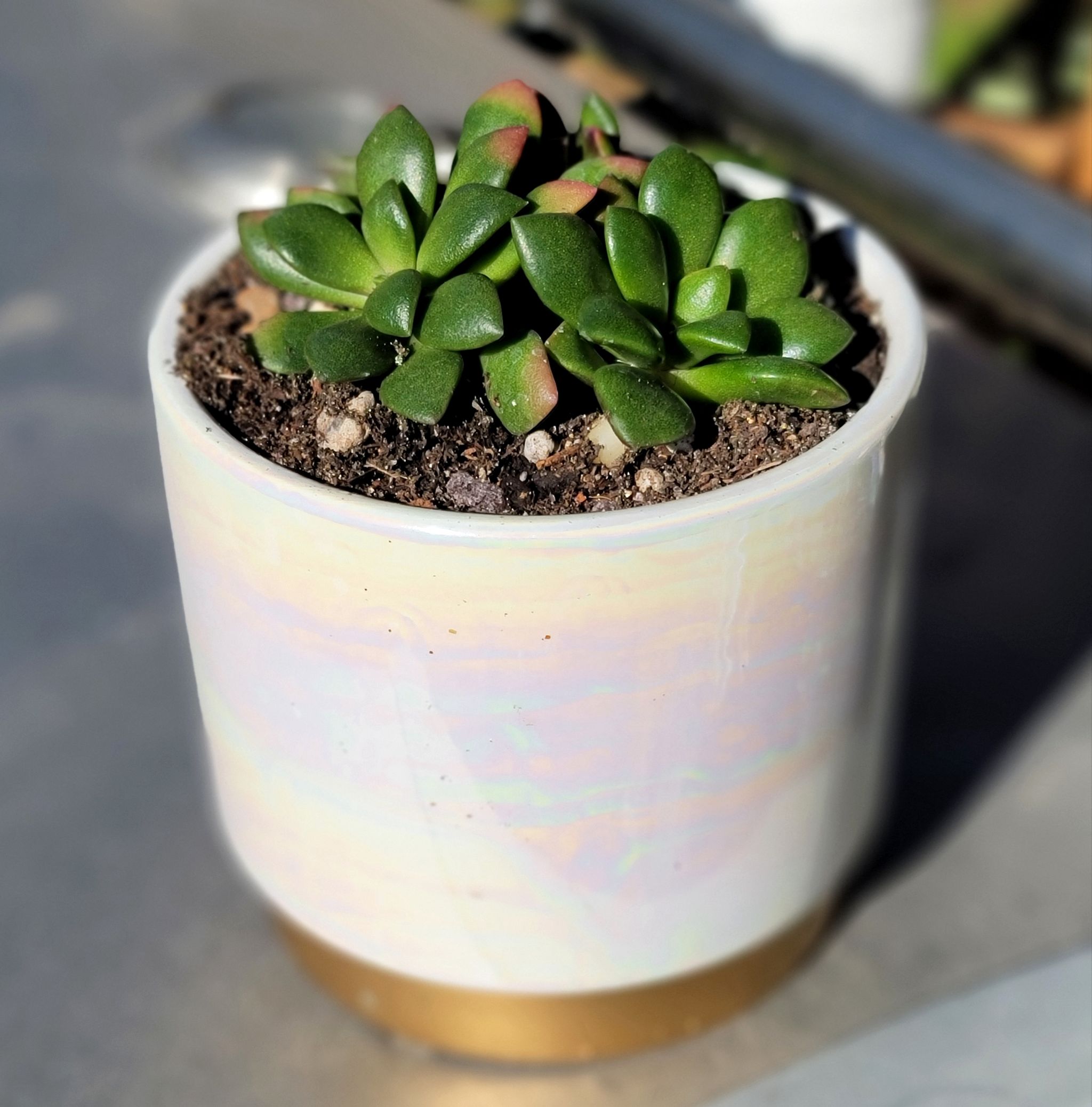 Photo from the post