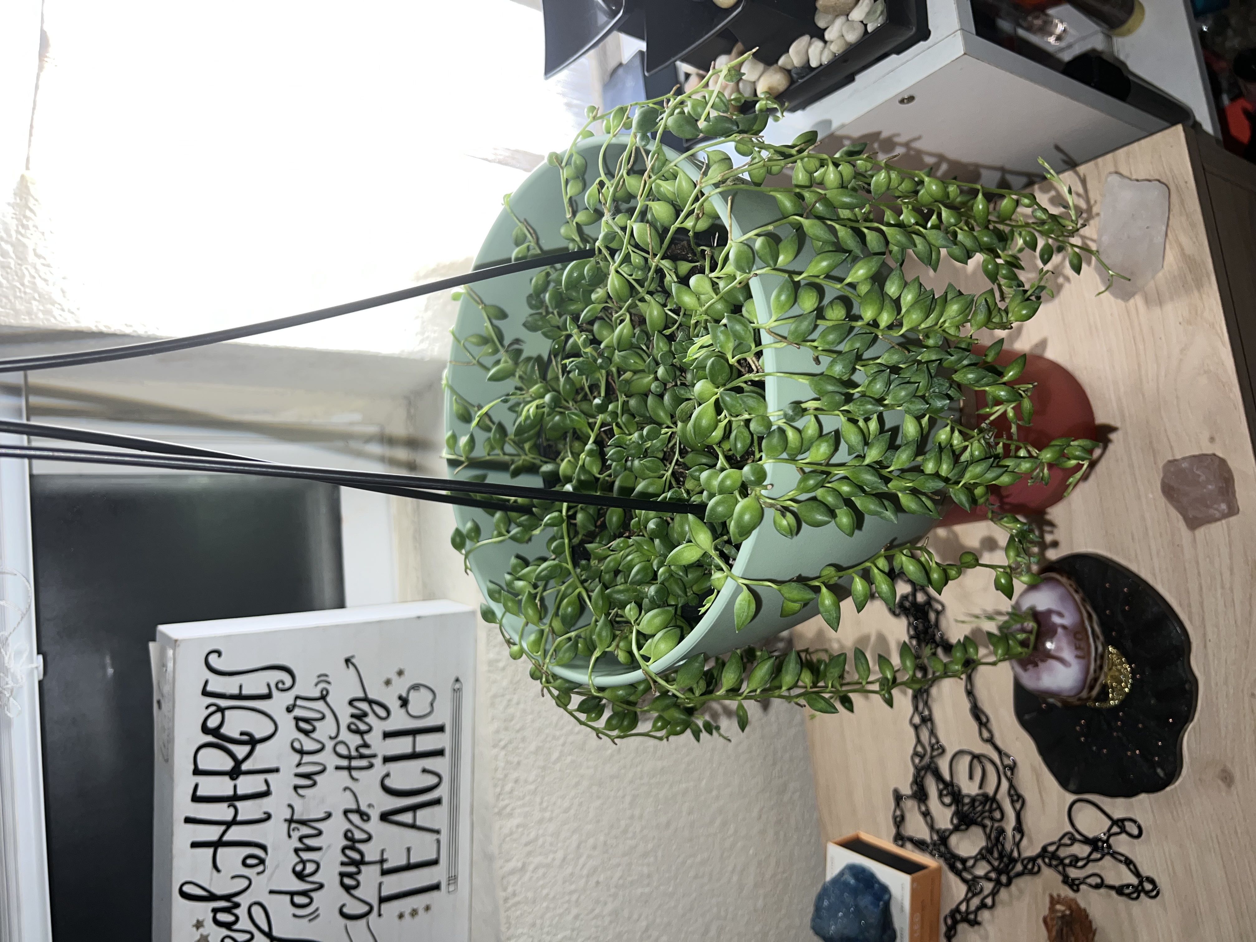 Photo from the post