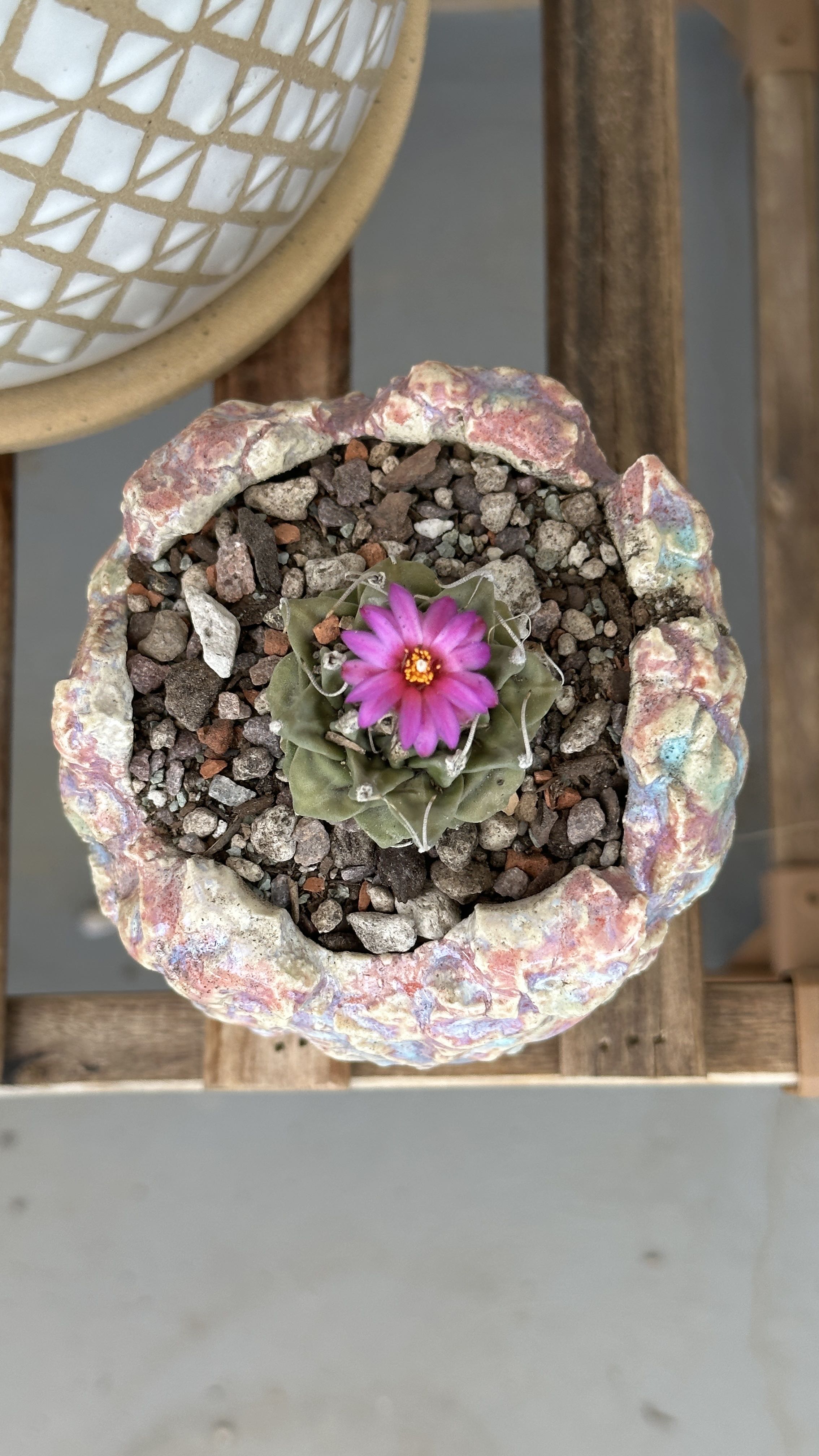 Photo from the post
