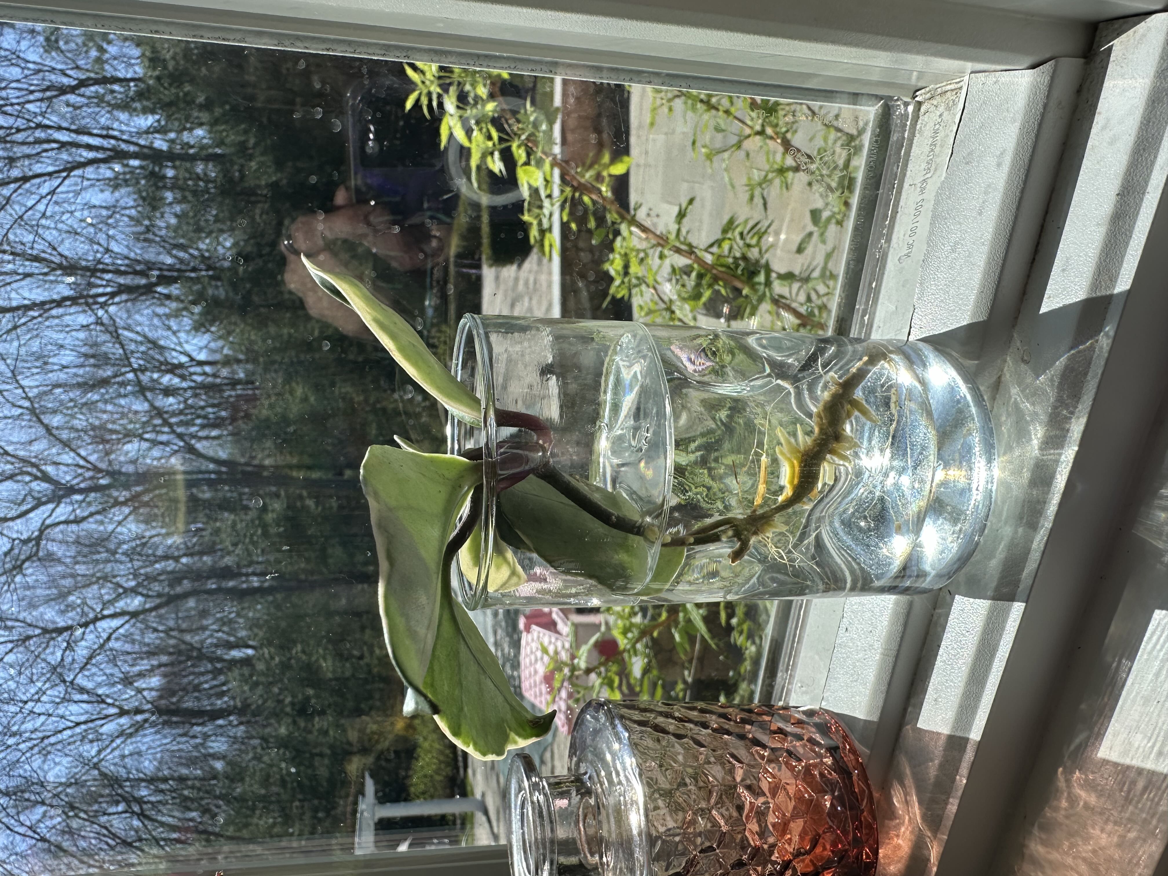 Photo from the post