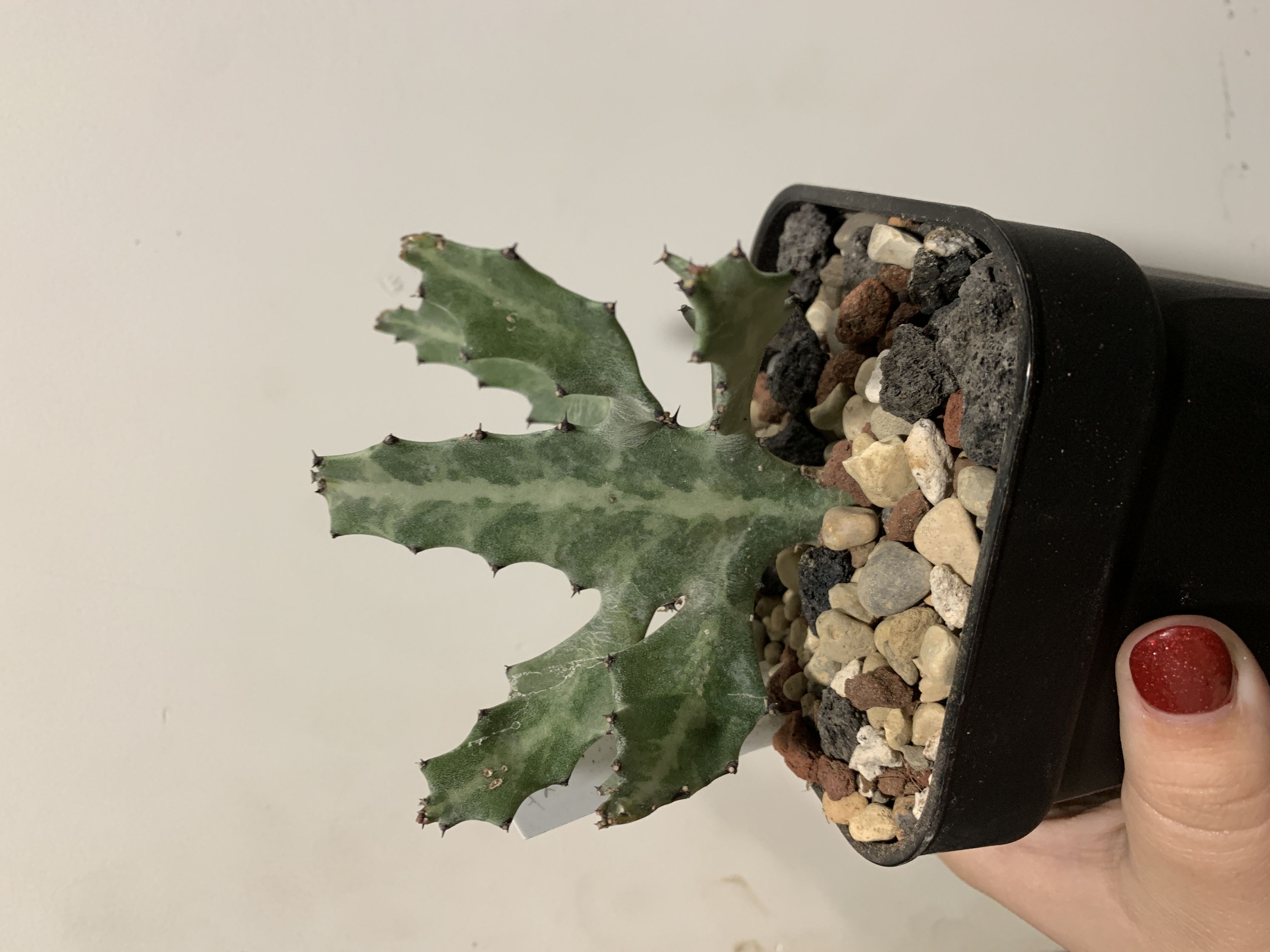 Photo from the post