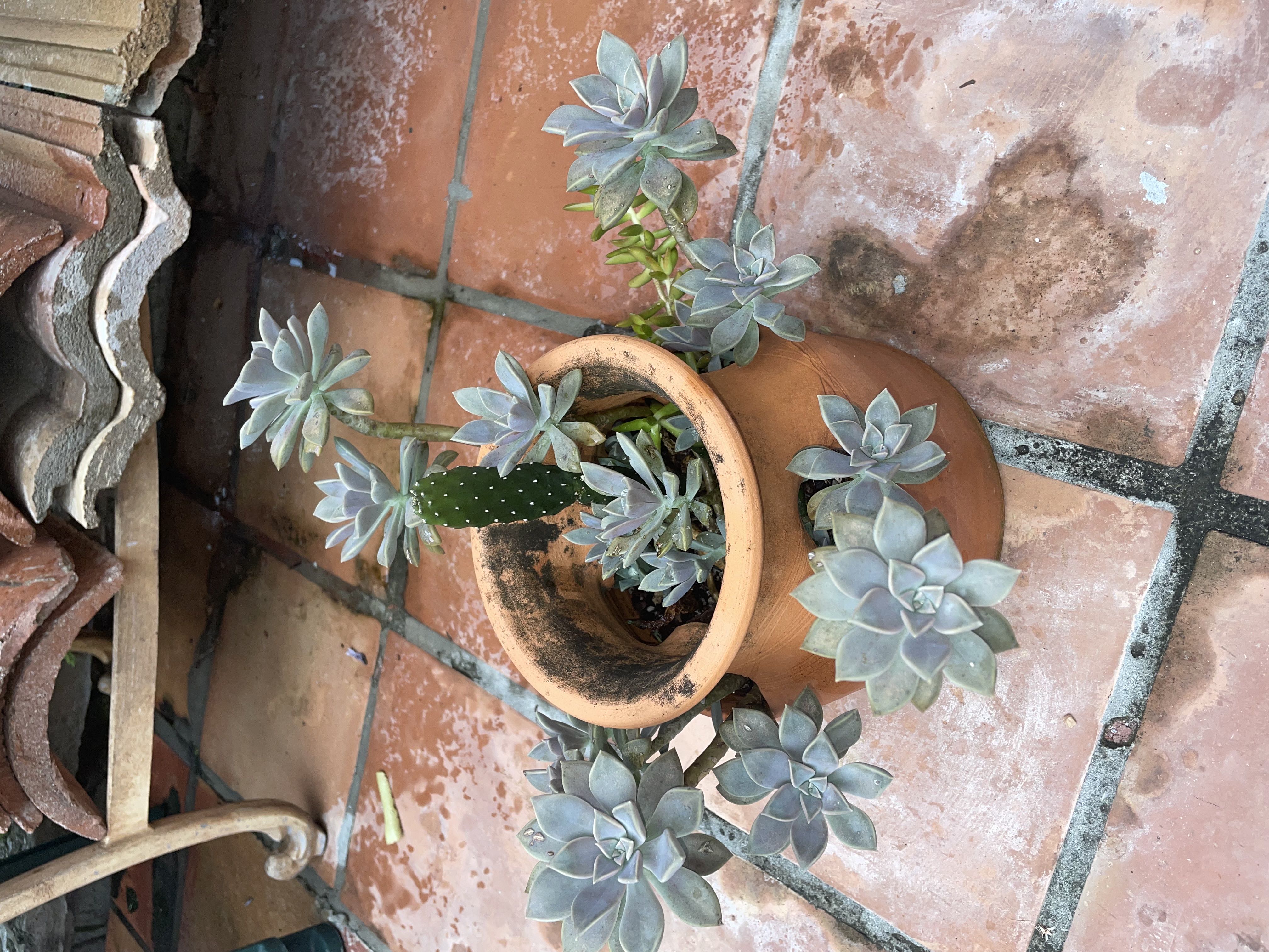Photo from the post