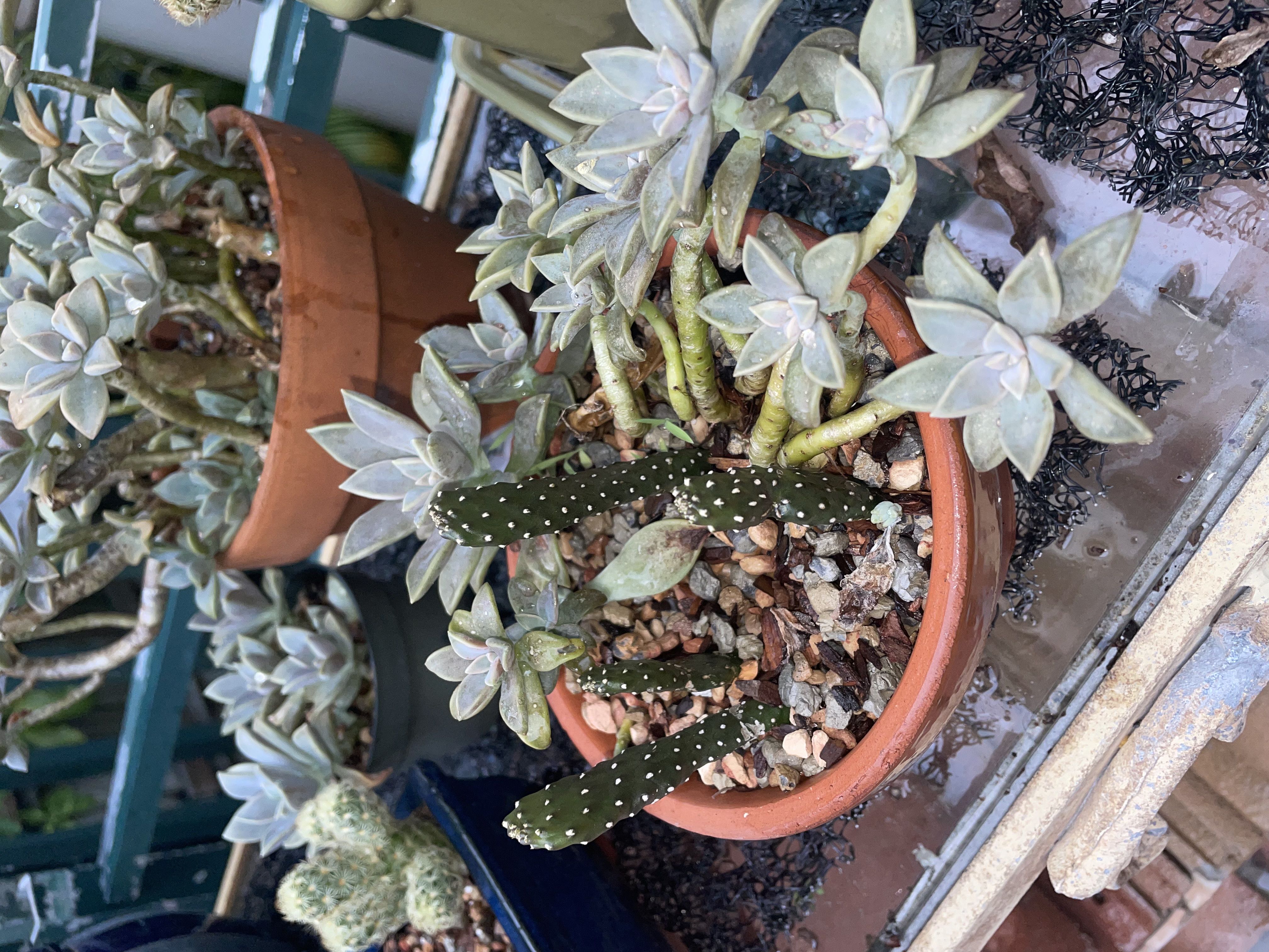 Photo from the post