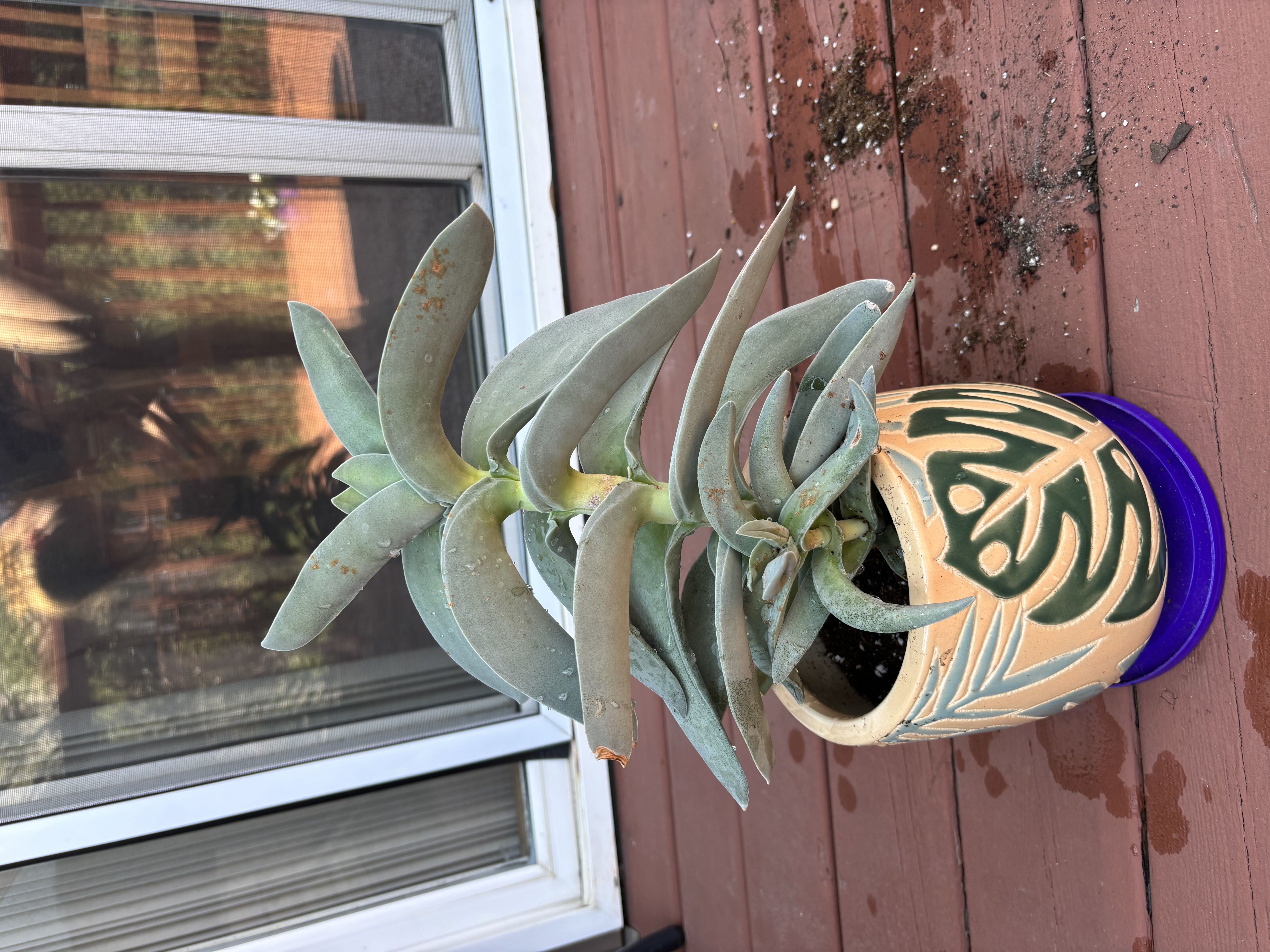 Photo from the post