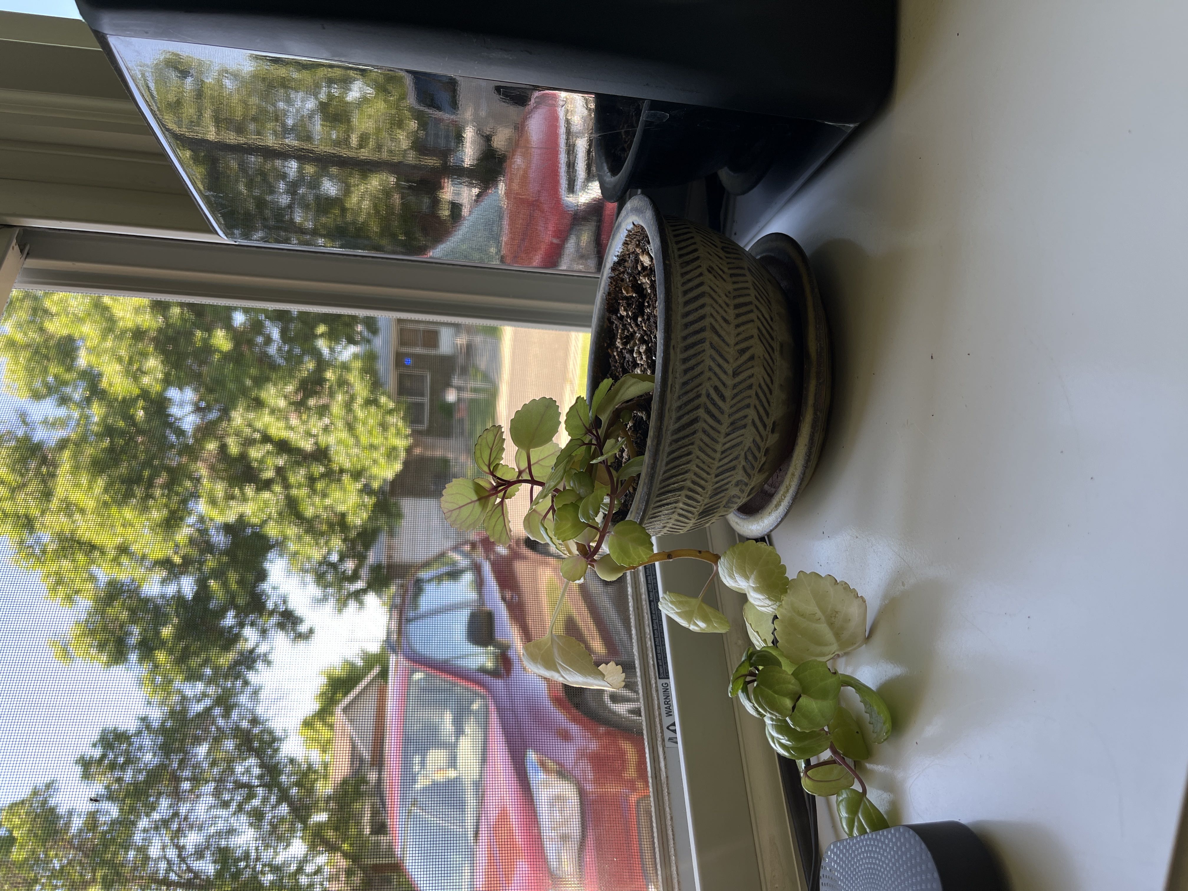 Photo from the post