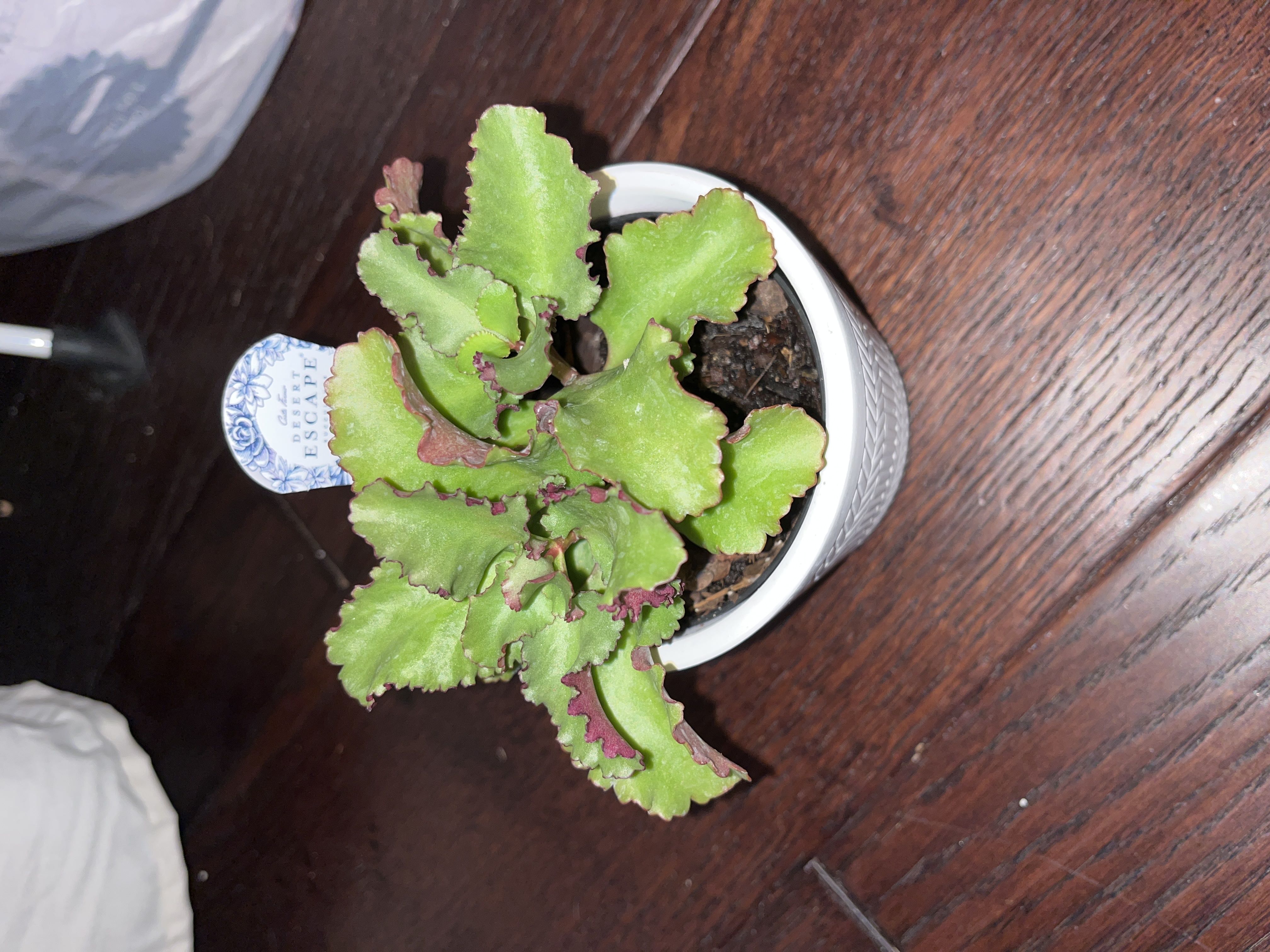 Photo from the post