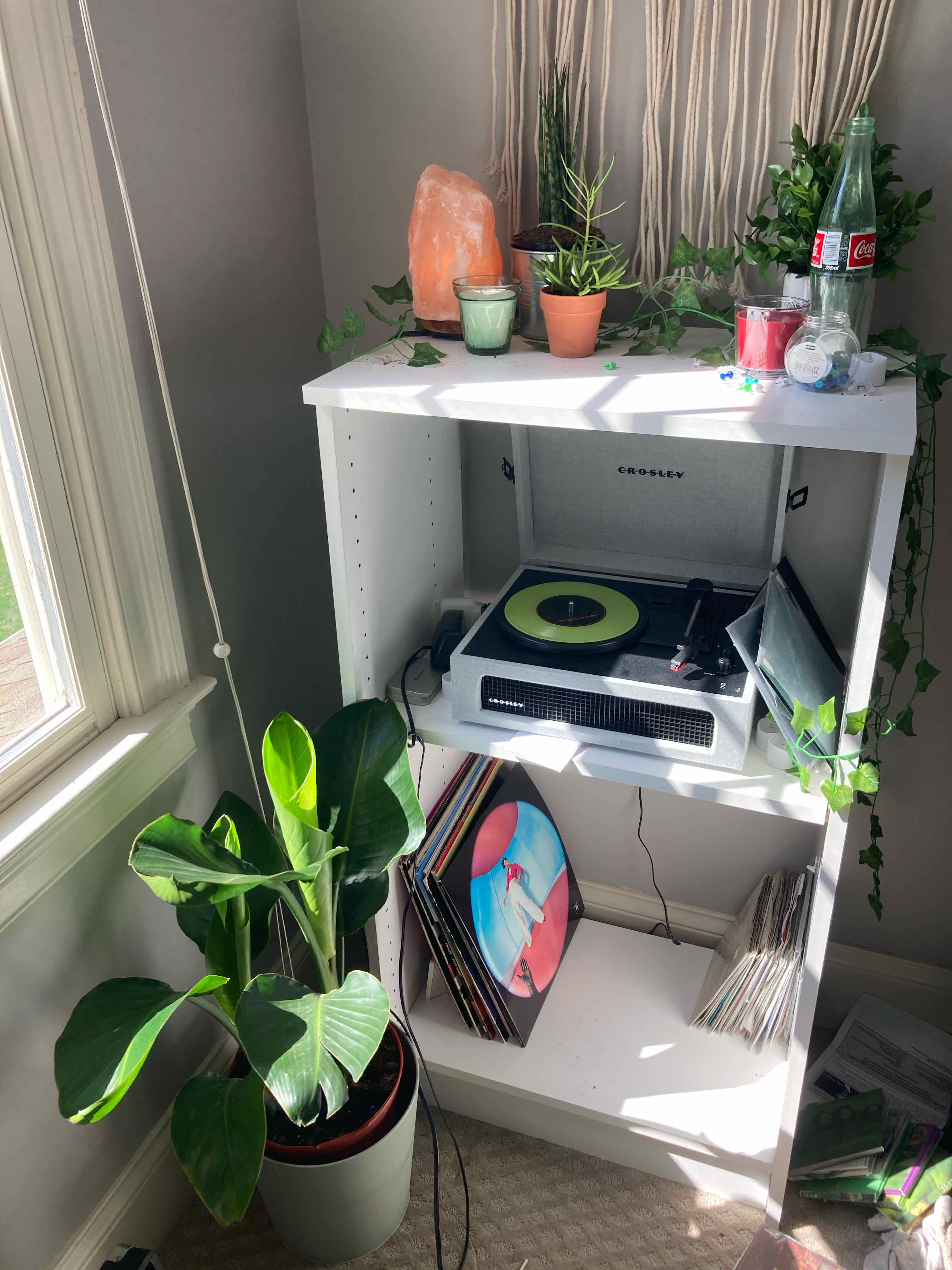 Bird of Paradise plant next to a white shelf with various items, including a record player.