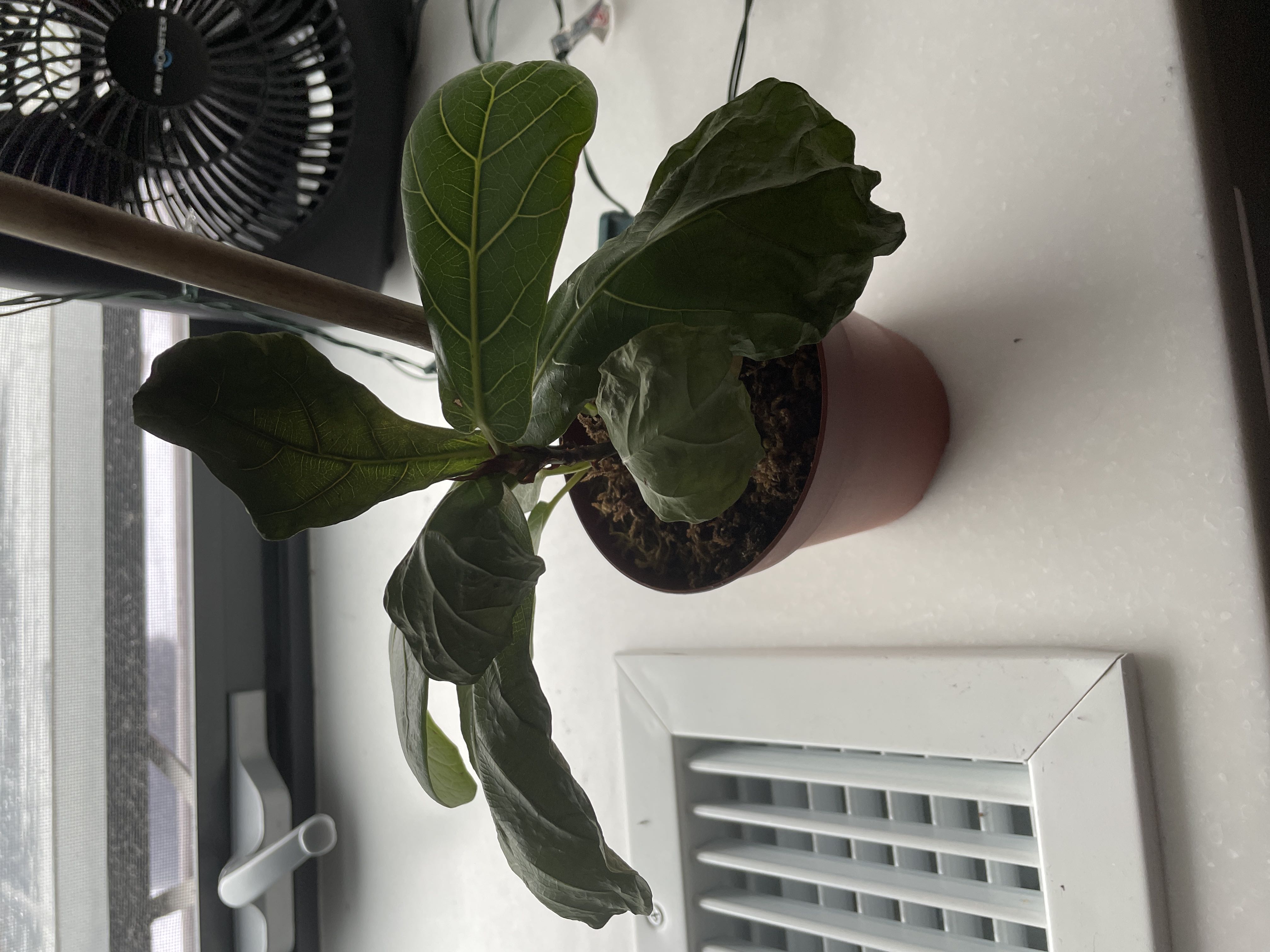 Photo from the post