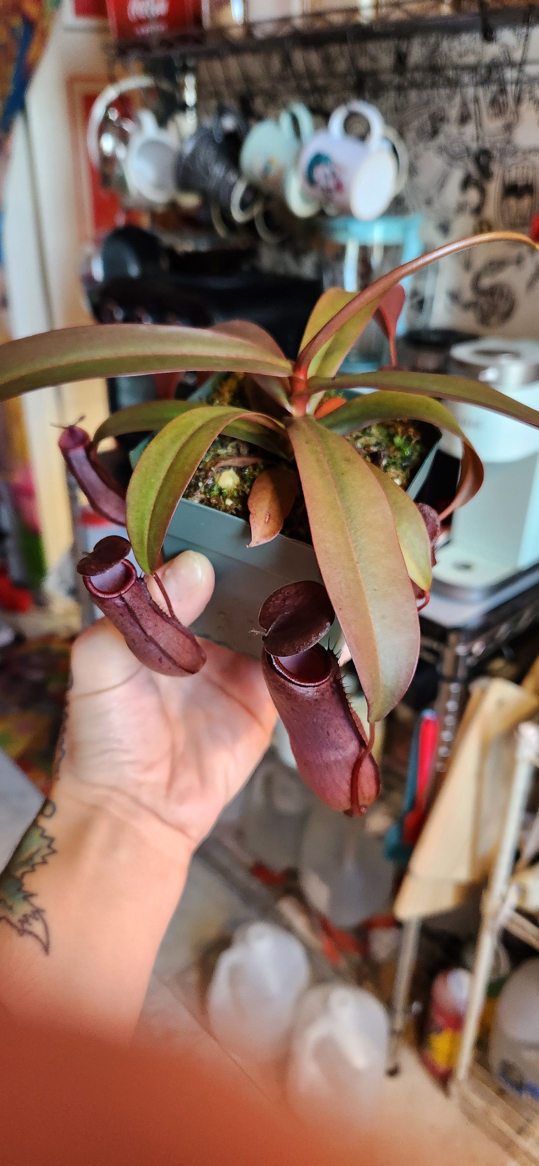 Photo from the post