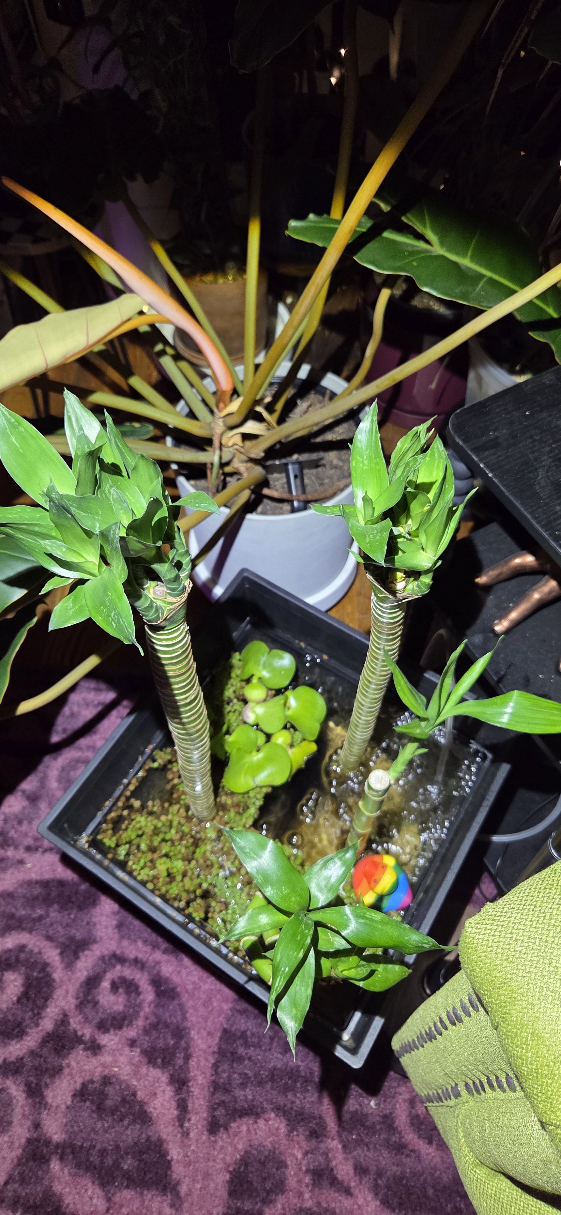 Photo from the post