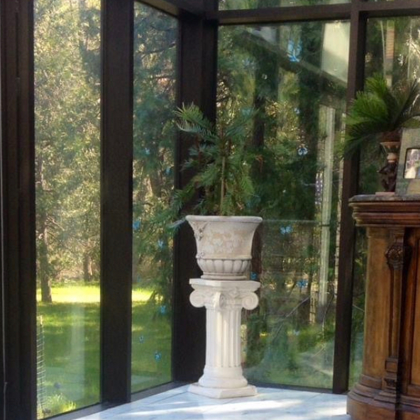 Photo of the plant species Wollemi Pine by @BambooLover named Wollemia nobilis on Greg, the plant care app